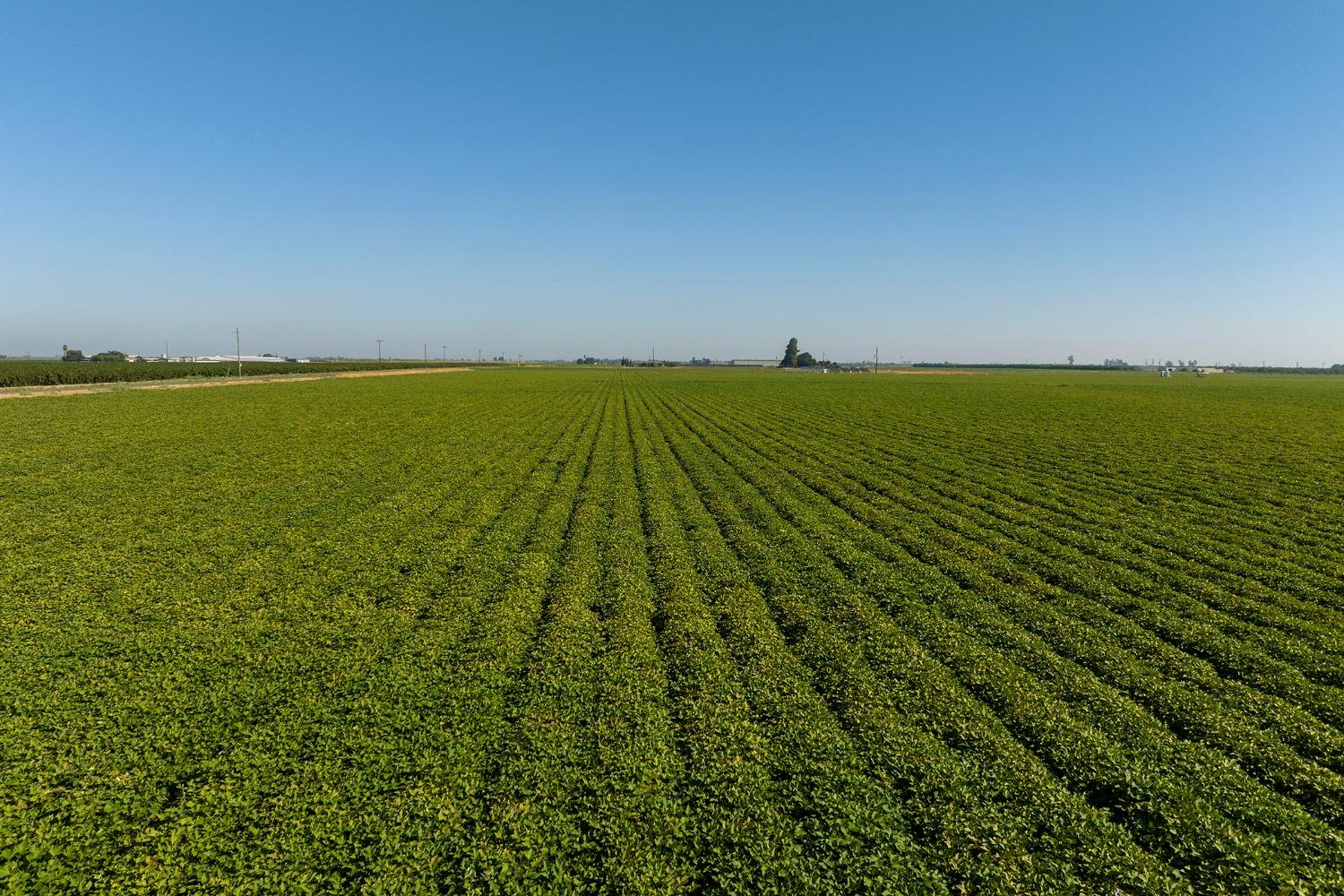 15490 Atwater Jordan Rd, Livingston, CA 95334