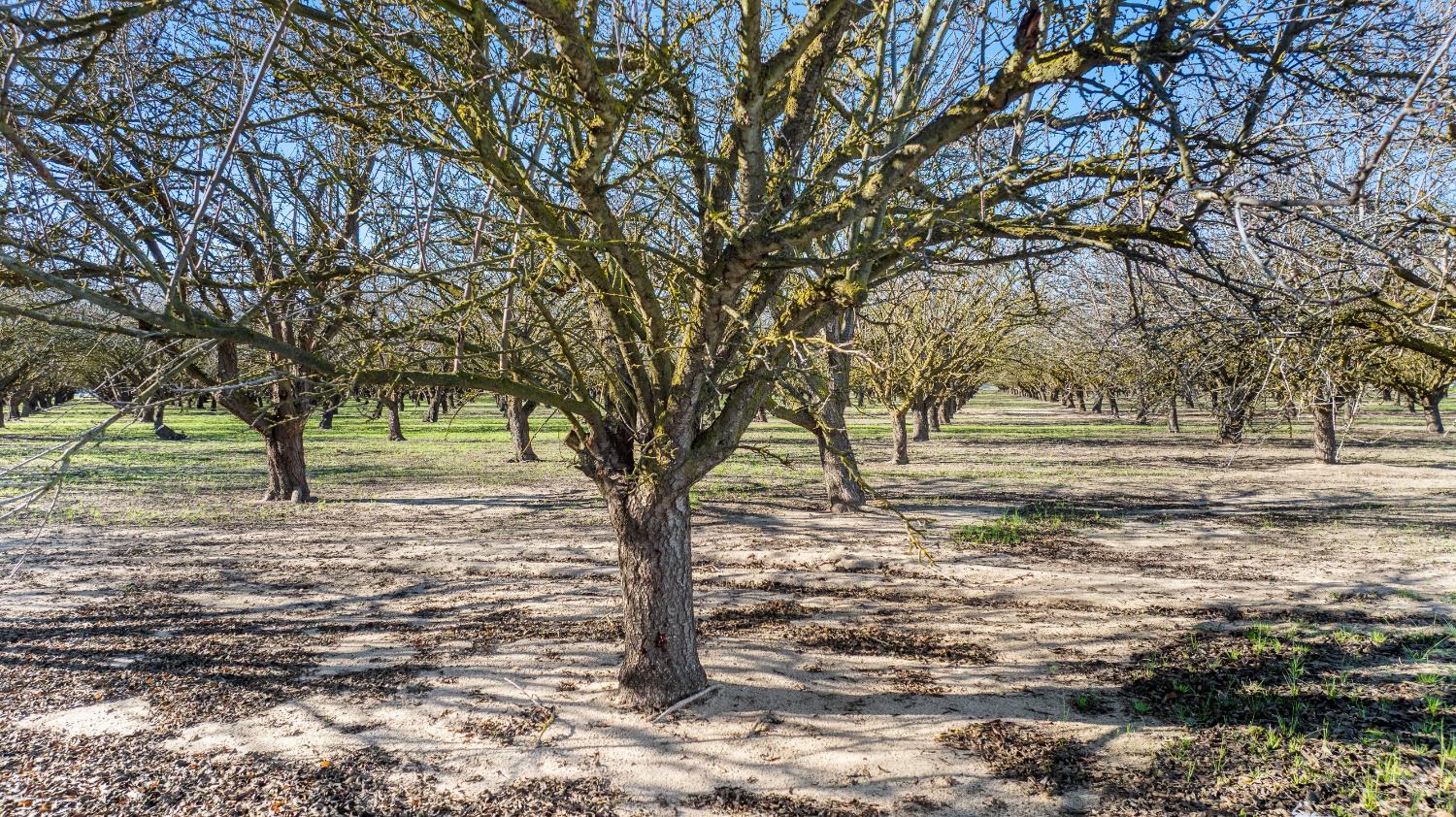 2105 N Airport Way, Manteca, CA 95336