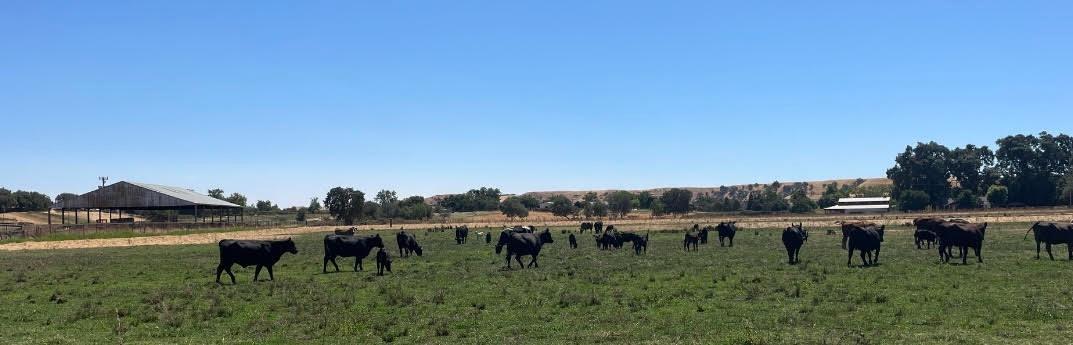 0 Morrison Rd, Oakdale, CA 95361