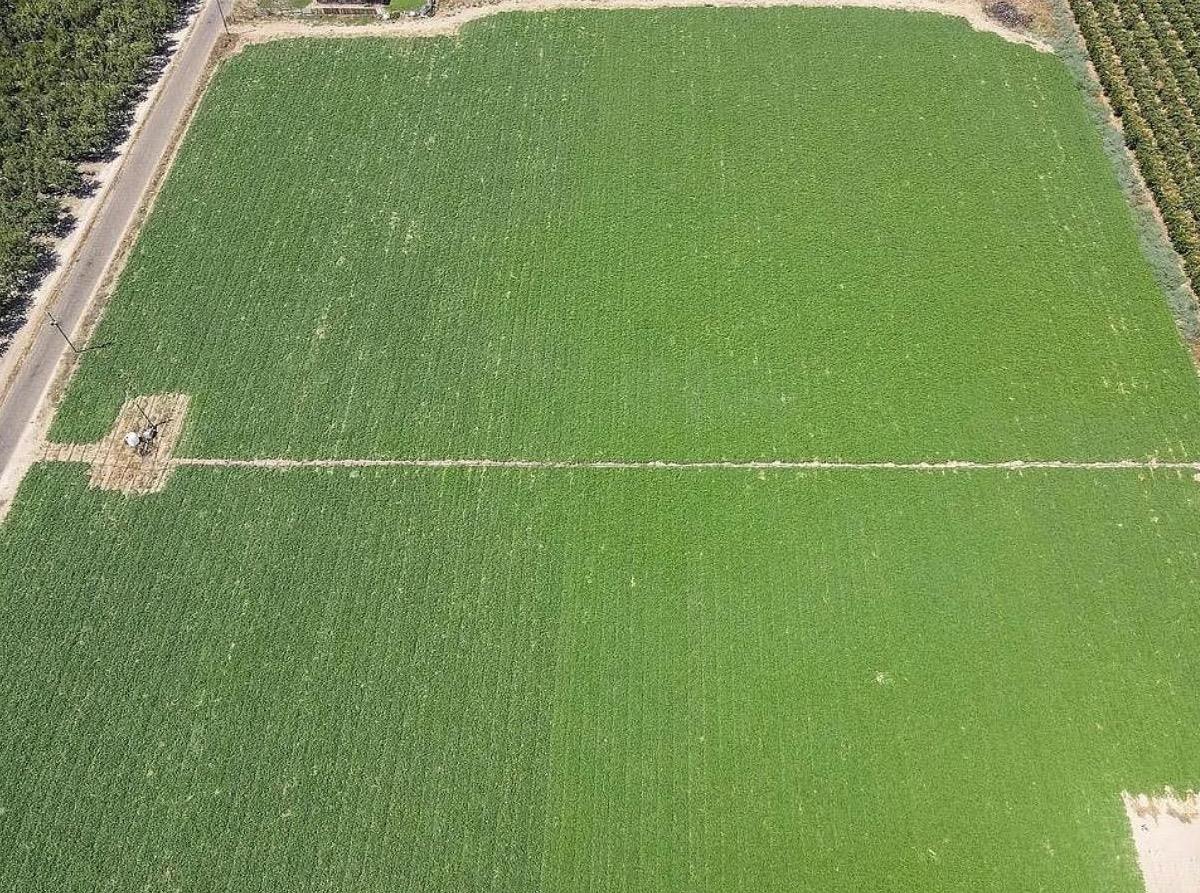 2617 Lincoln Blvd, Livingston, CA 95334