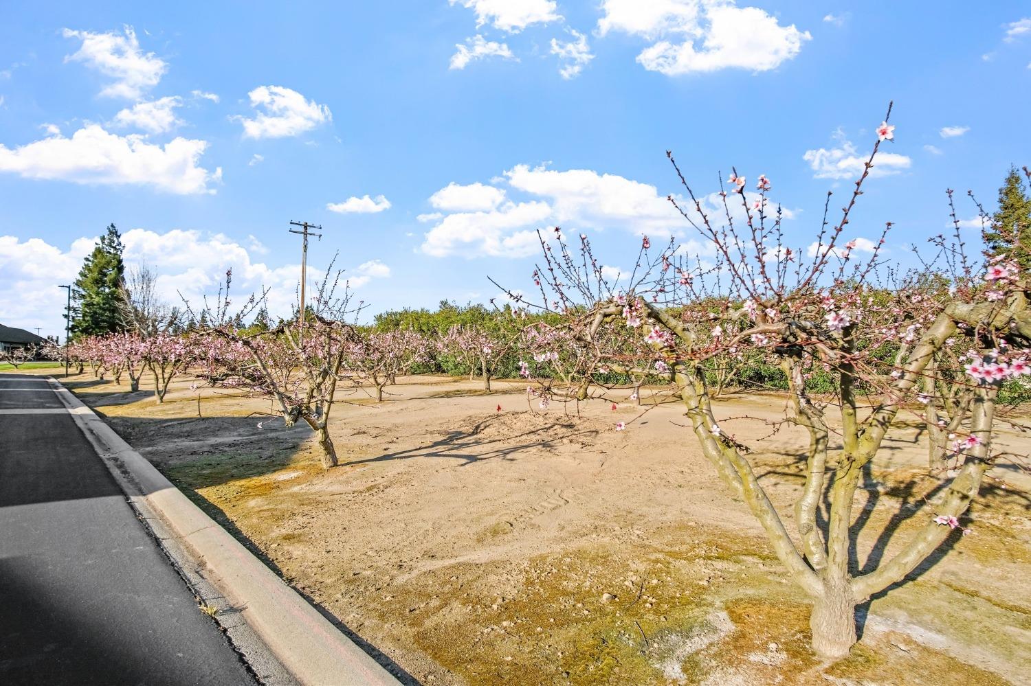 1500 Held Dr #103, Modesto, CA 95355