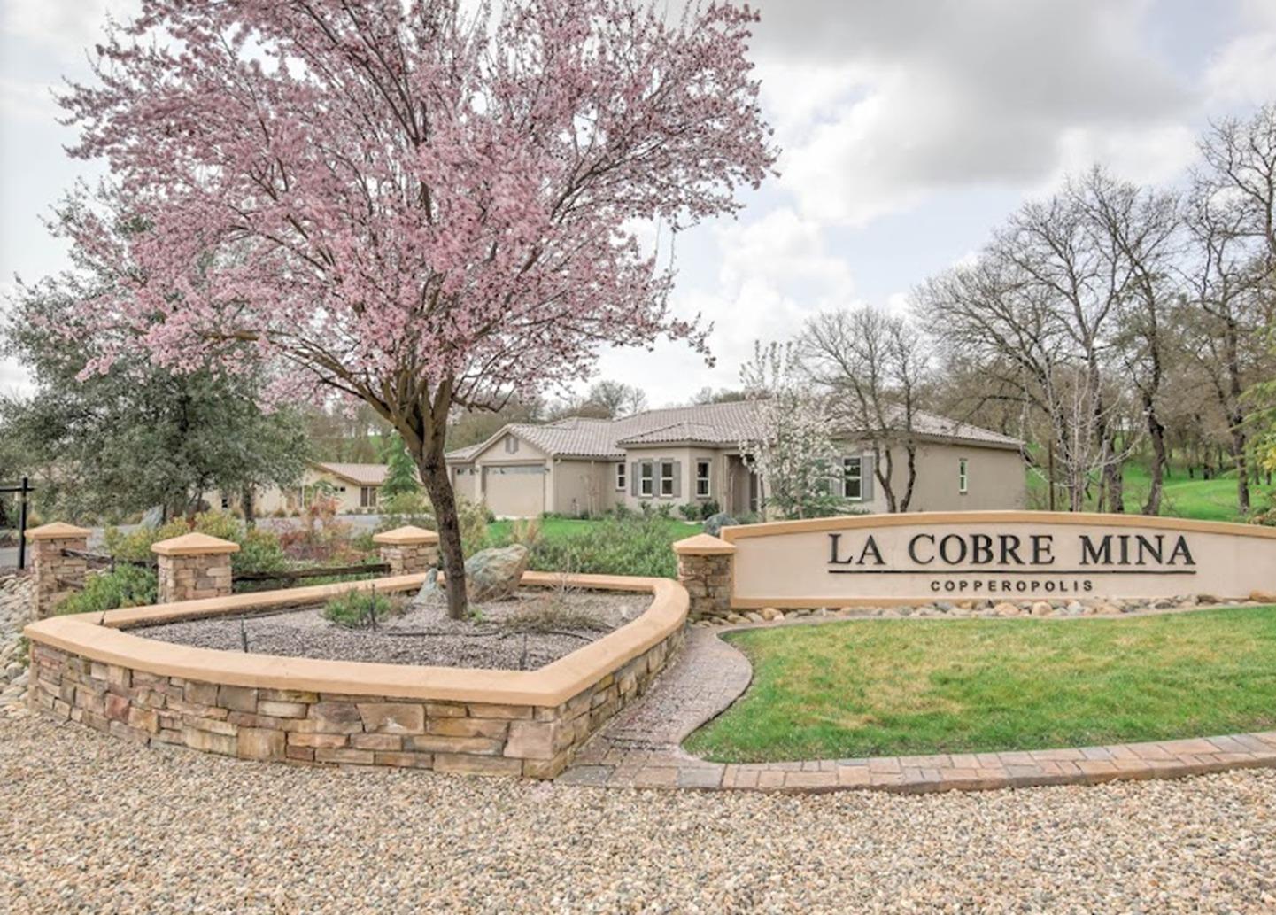 116 Paseo Verde Dr, Copperopolis, CA 95228