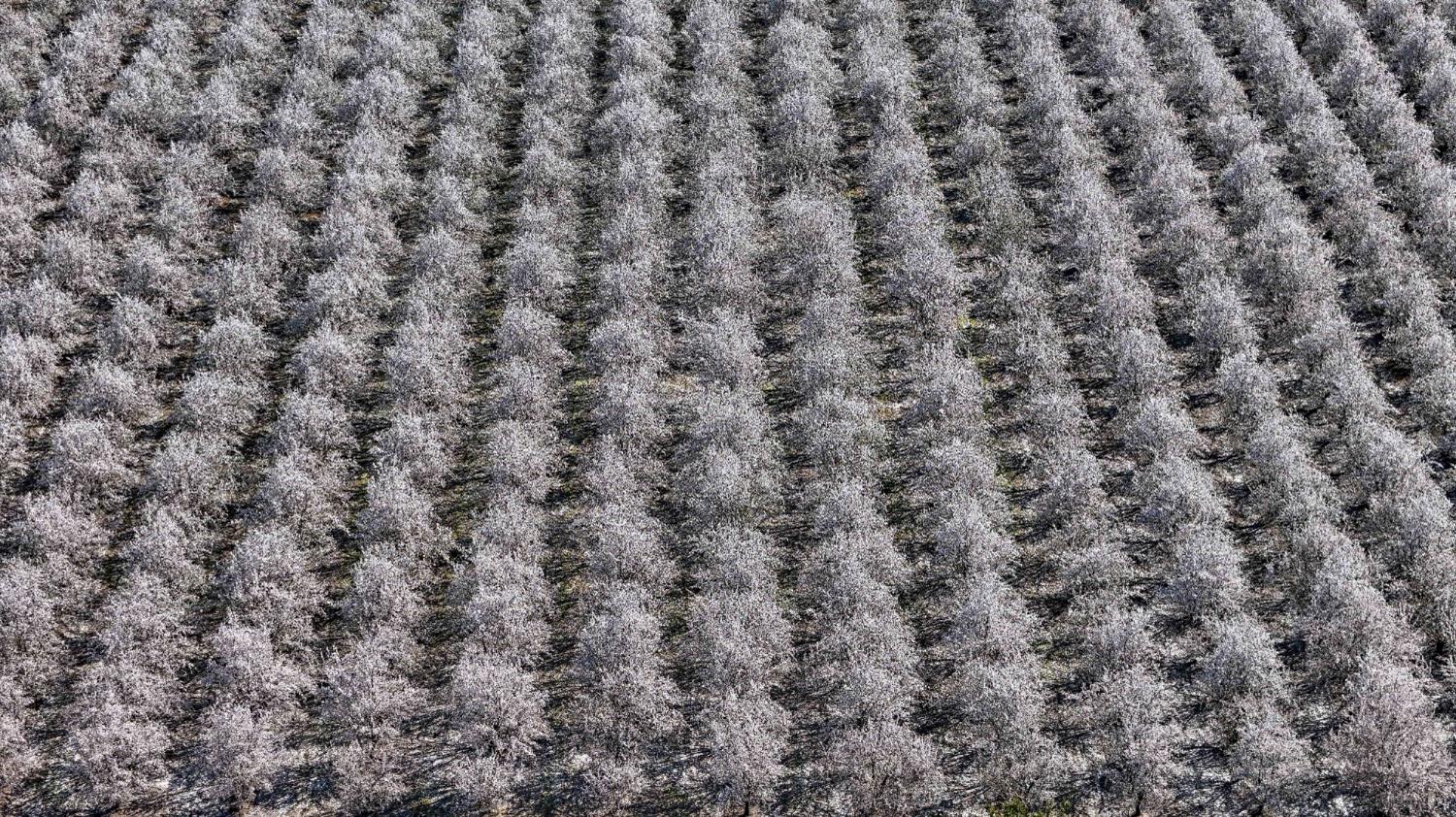 0 Santa Fe Ave, Planada, CA 95365