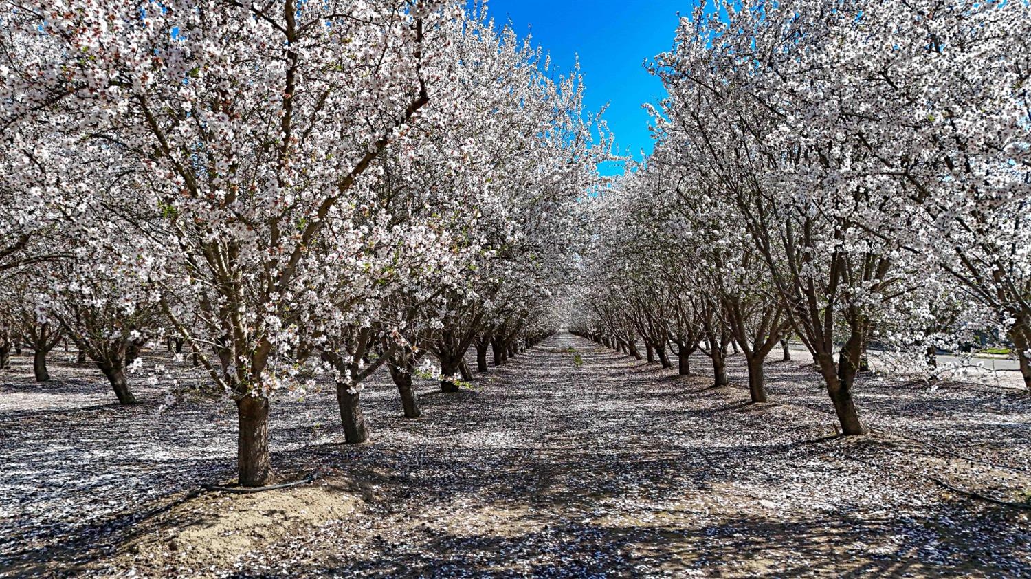 0 Santa Fe Ave, Planada, CA 95365