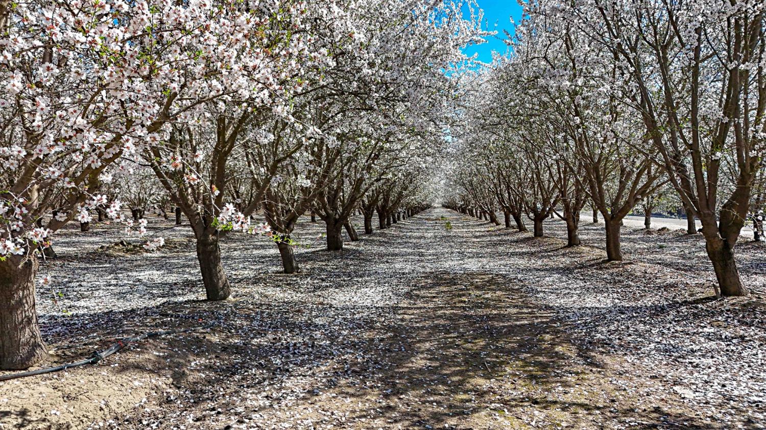 0 Santa Fe Ave, Planada, CA 95365