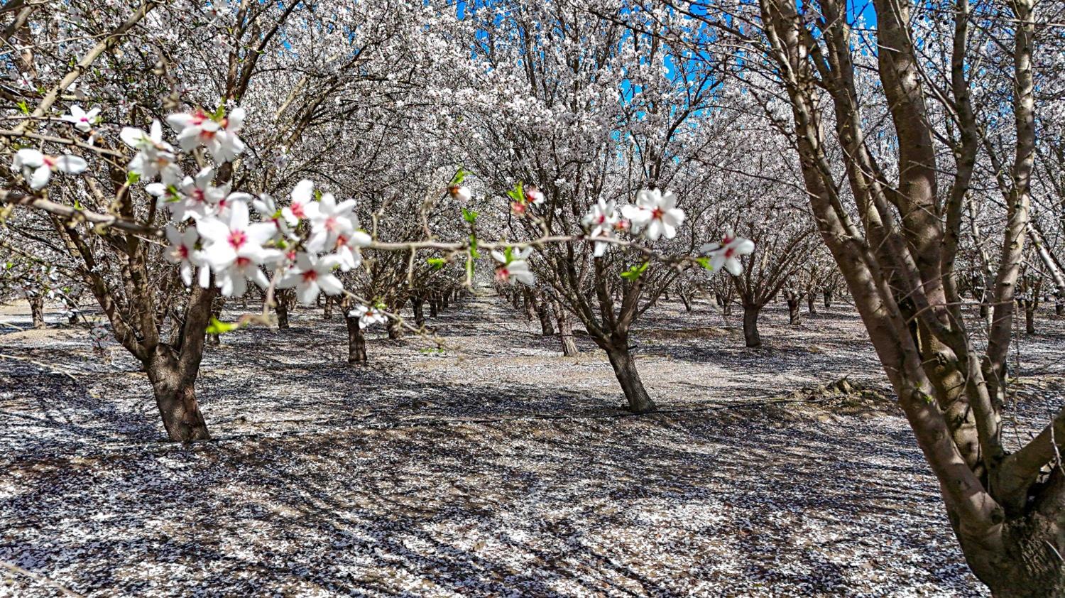 0 Santa Fe Ave, Planada, CA 95365