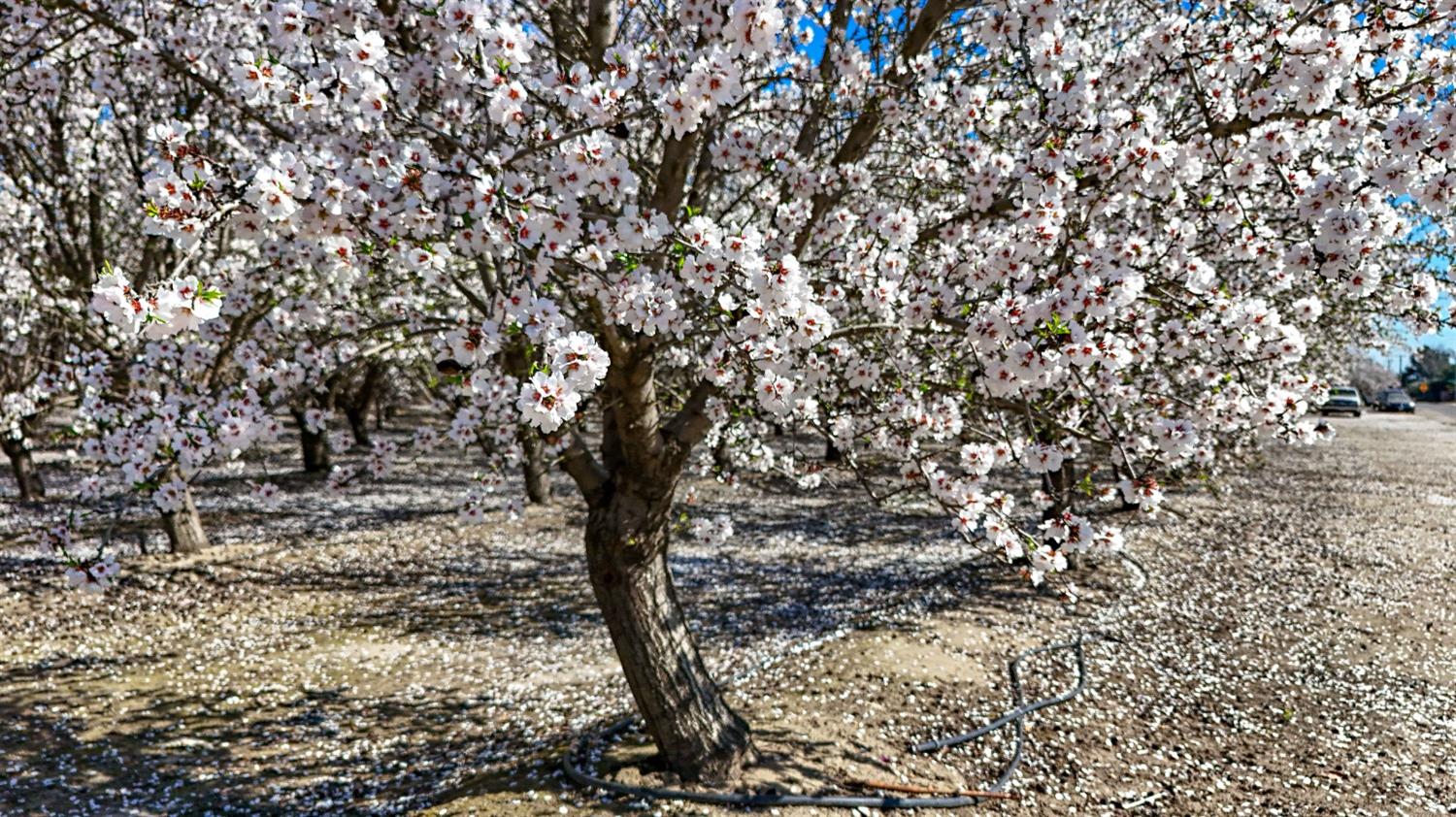 0 Santa Fe Ave, Planada, CA 95365