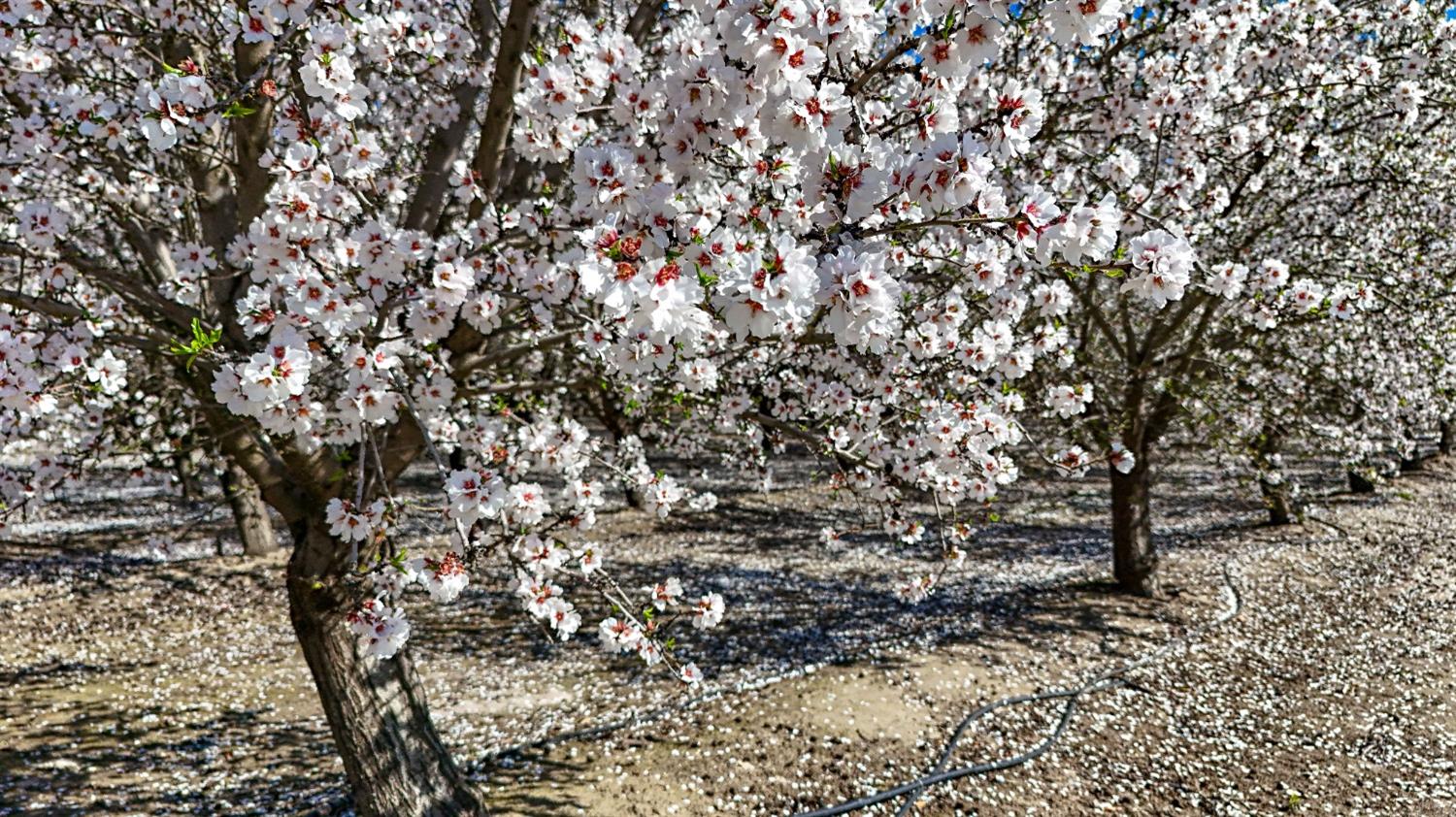 0 Santa Fe Ave, Planada, CA 95365