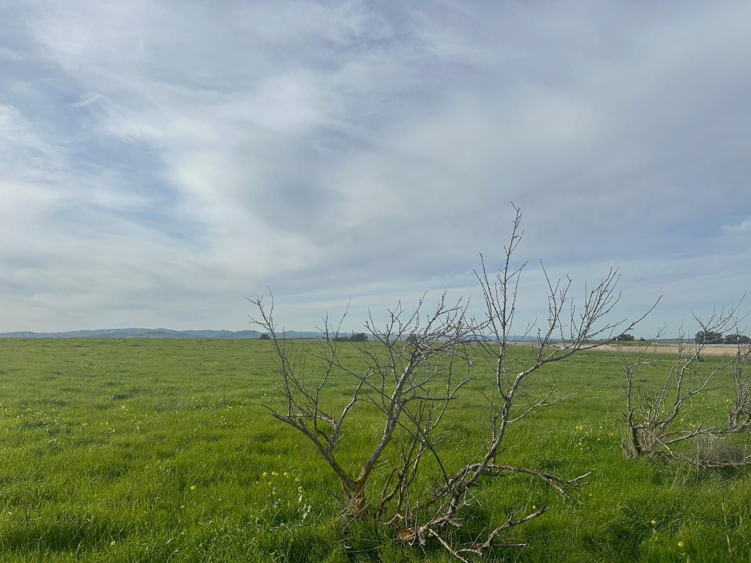 1 Billy Wright Rd, Los Banos, CA 93635