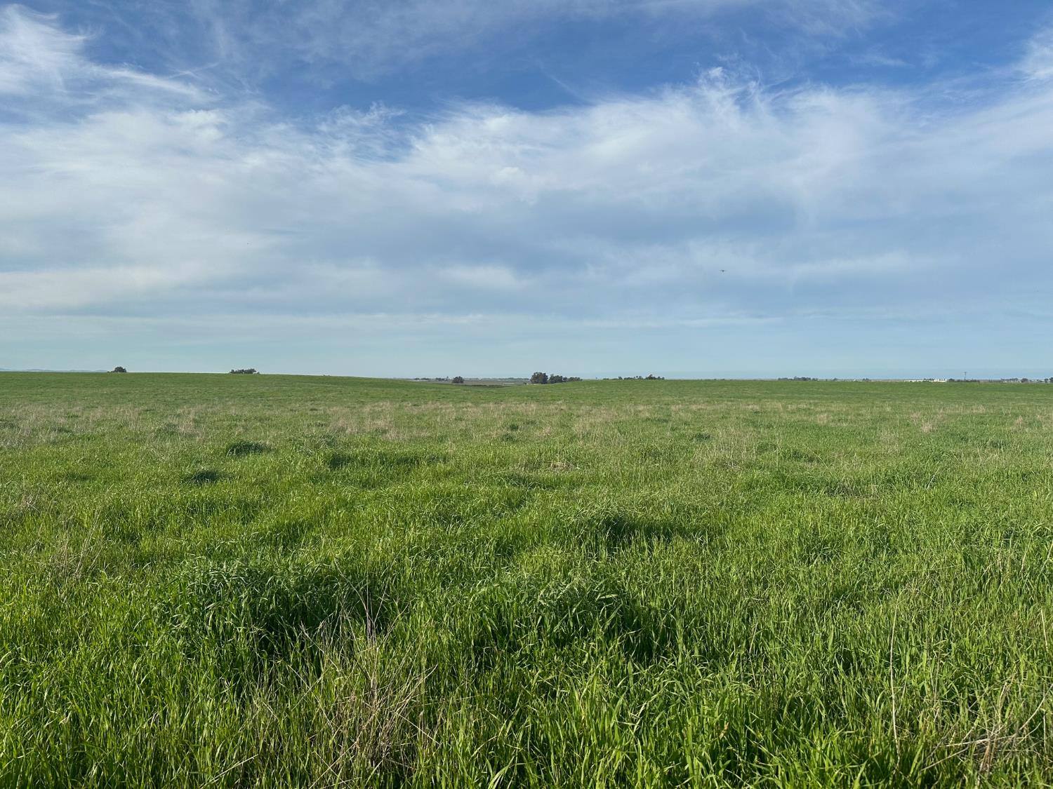 1 Billy Wright Rd, Los Banos, CA 93635