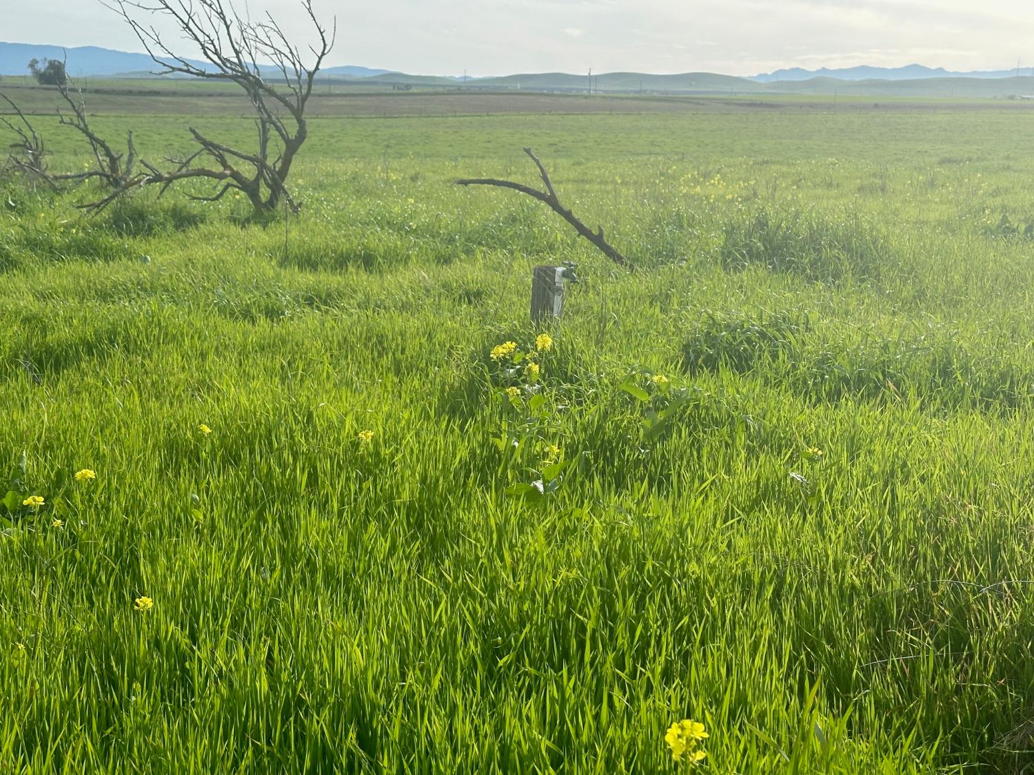 1 Billy Wright Rd, Los Banos, CA 93635