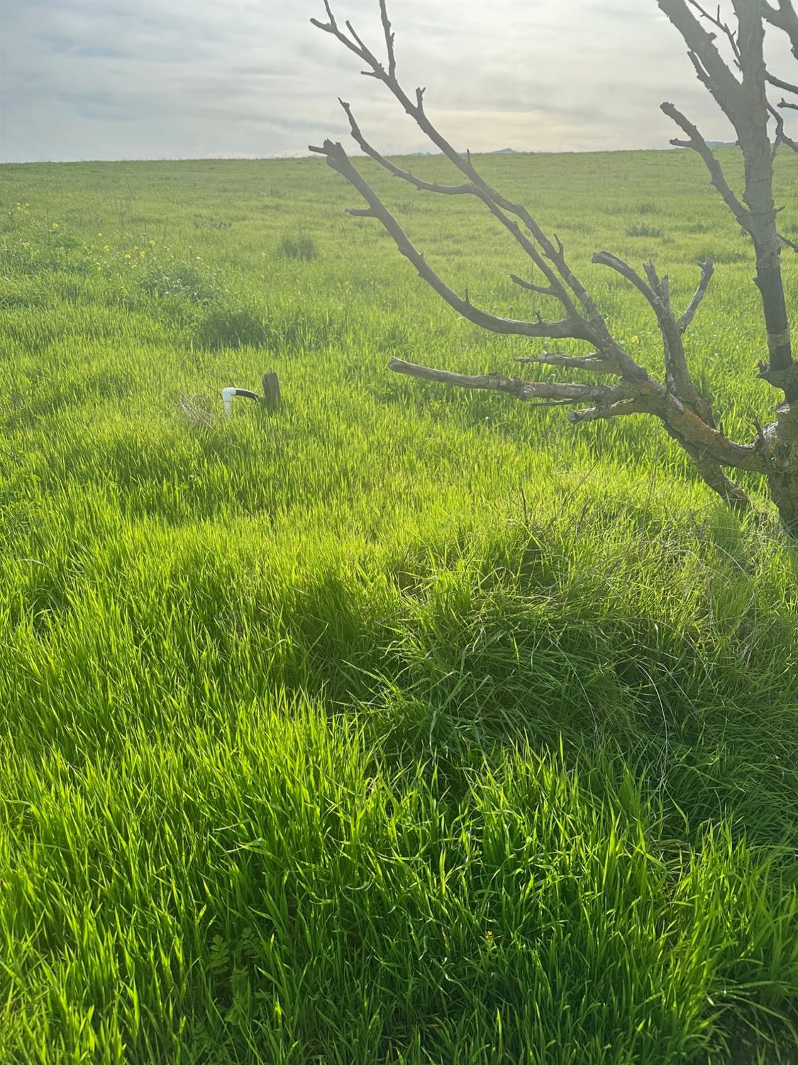 1 Billy Wright Rd, Los Banos, CA 93635