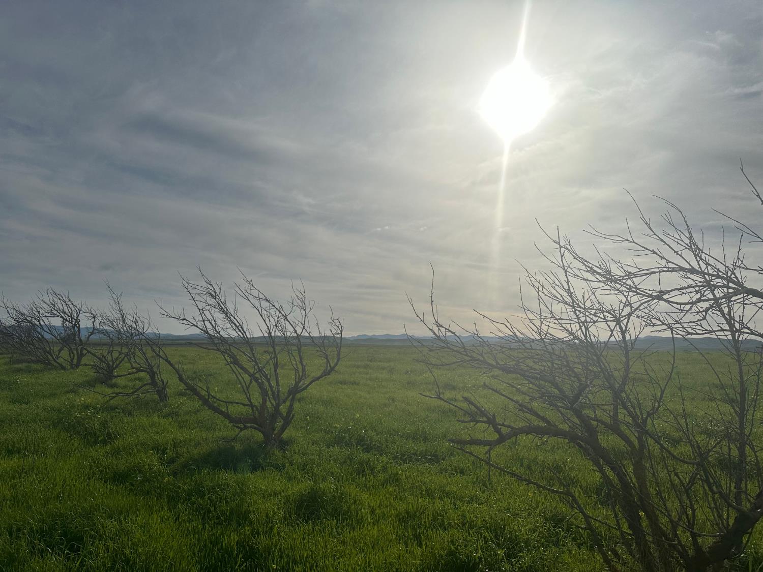 1 Billy Wright Rd, Los Banos, CA 93635