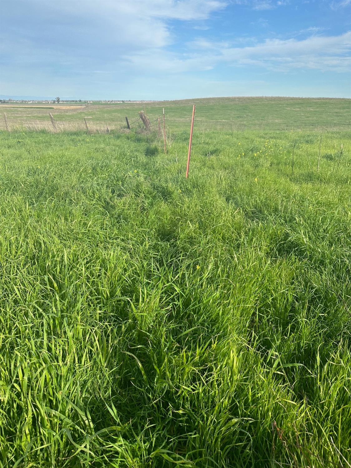 1 Billy Wright Rd, Los Banos, CA 93635