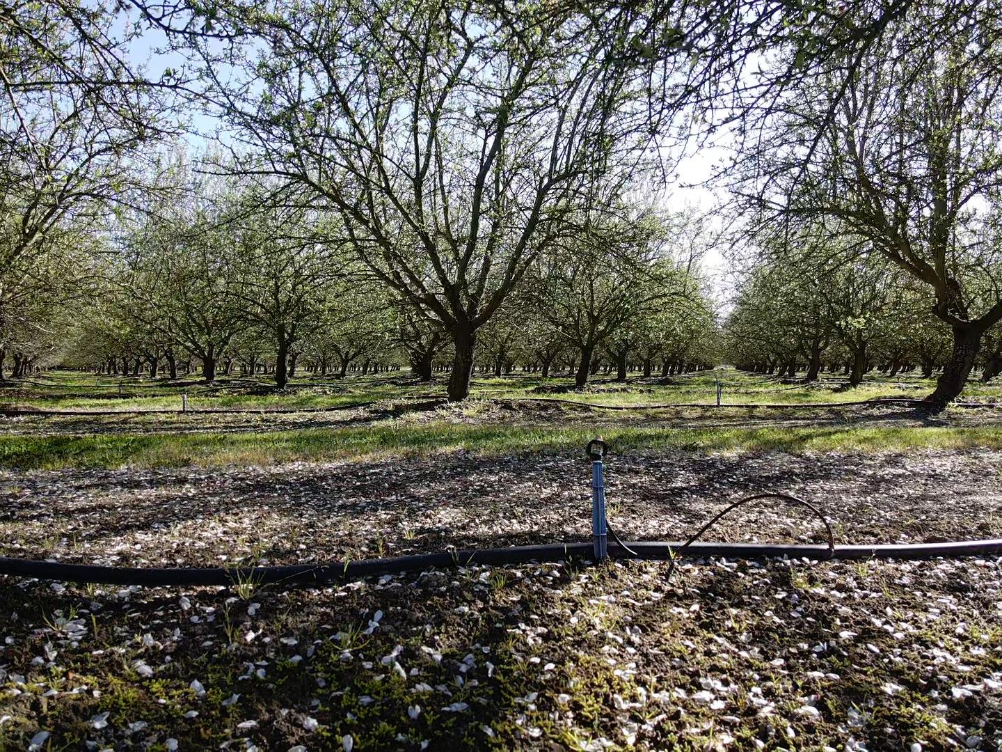 1119 N Verduga Rd, Turlock, CA 95380