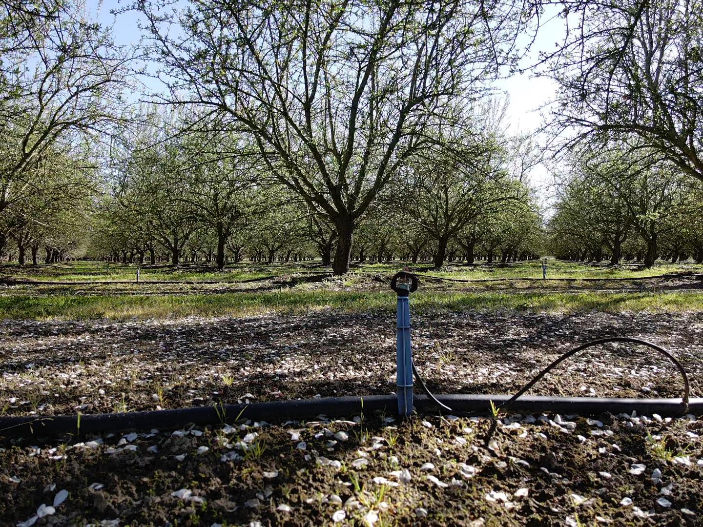 1119 N Verduga Rd, Turlock, CA 95380