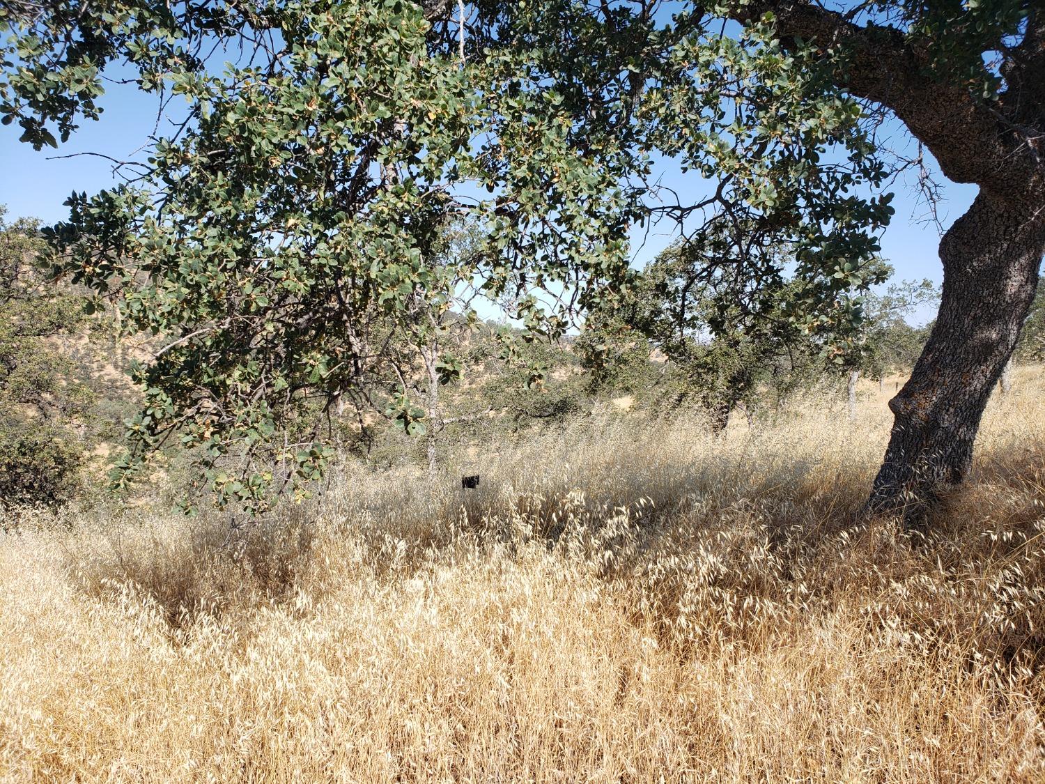 1400 Medina Ct, La Grange, CA 95329