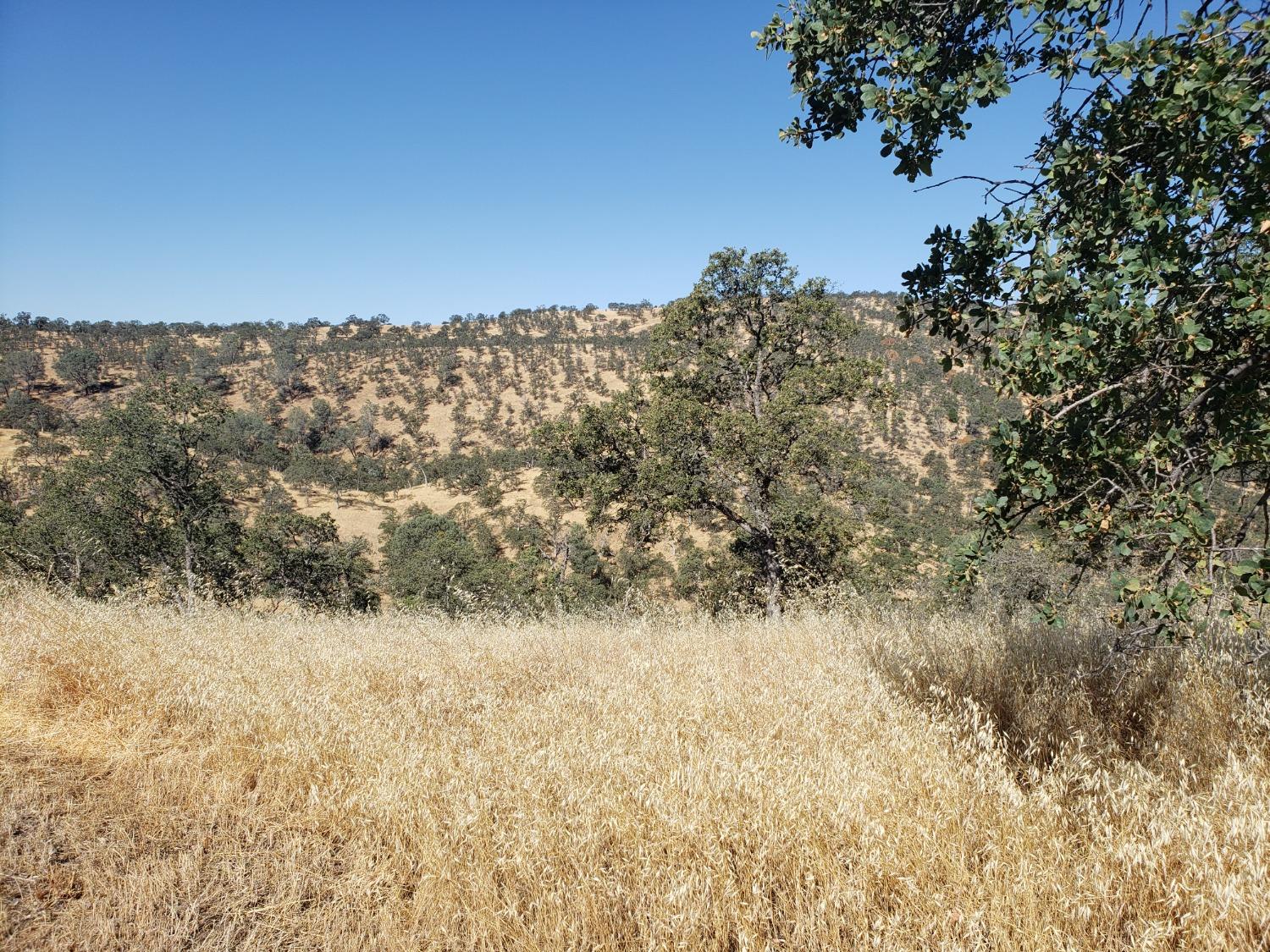 1400 Medina Ct, La Grange, CA 95329