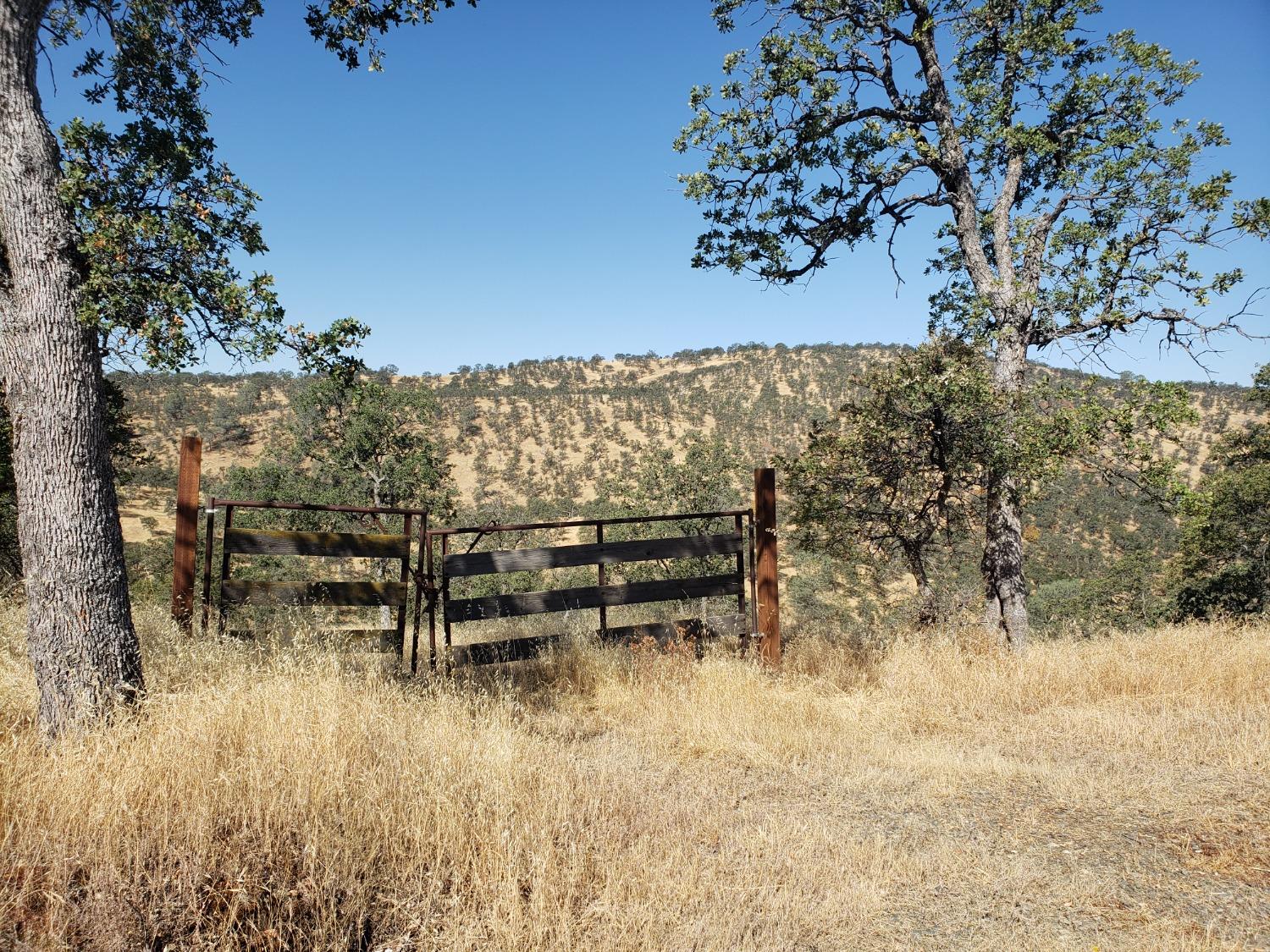 1400 Medina Ct, La Grange, CA 95329