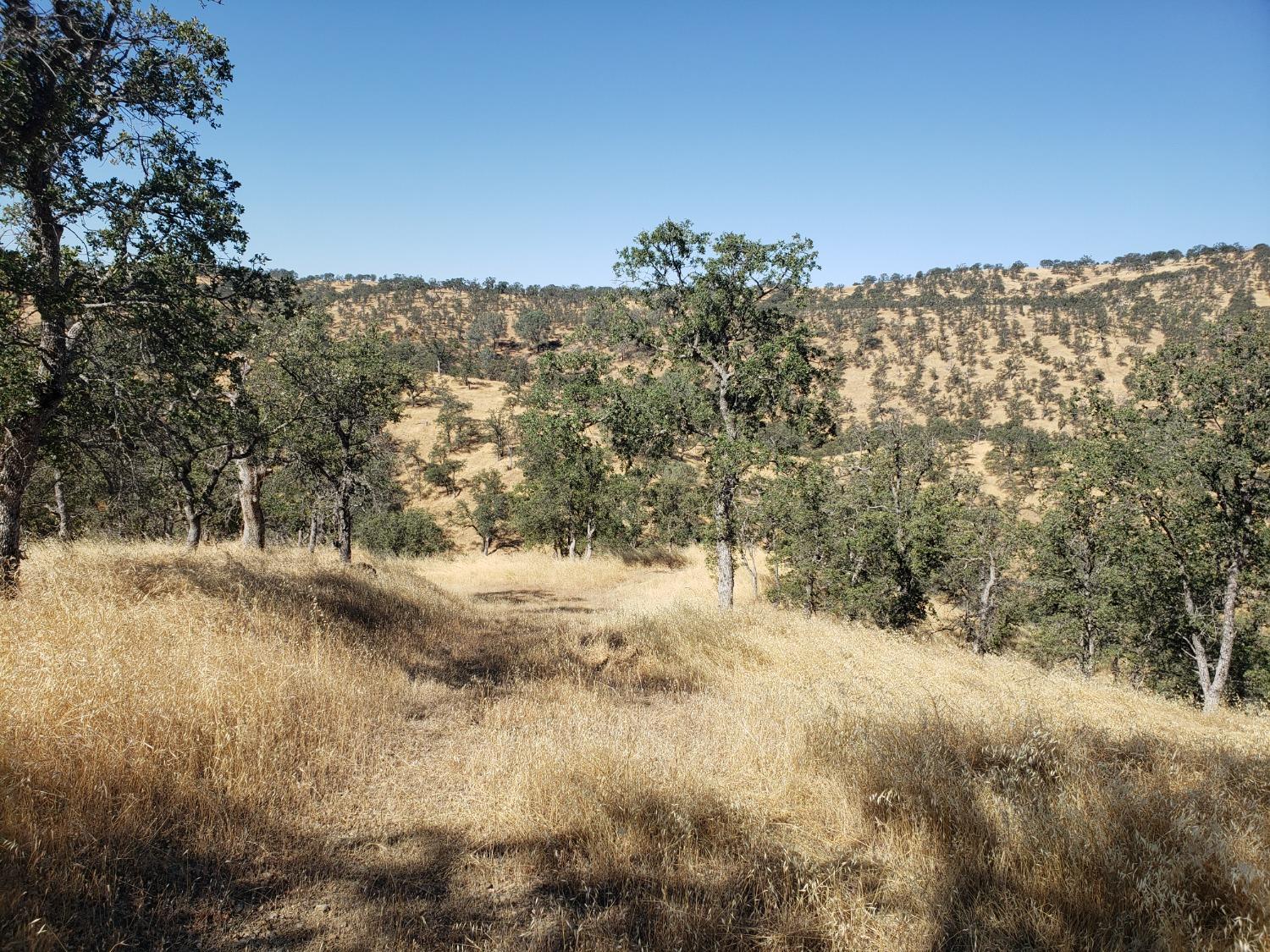 1400 Medina Ct, La Grange, CA 95329