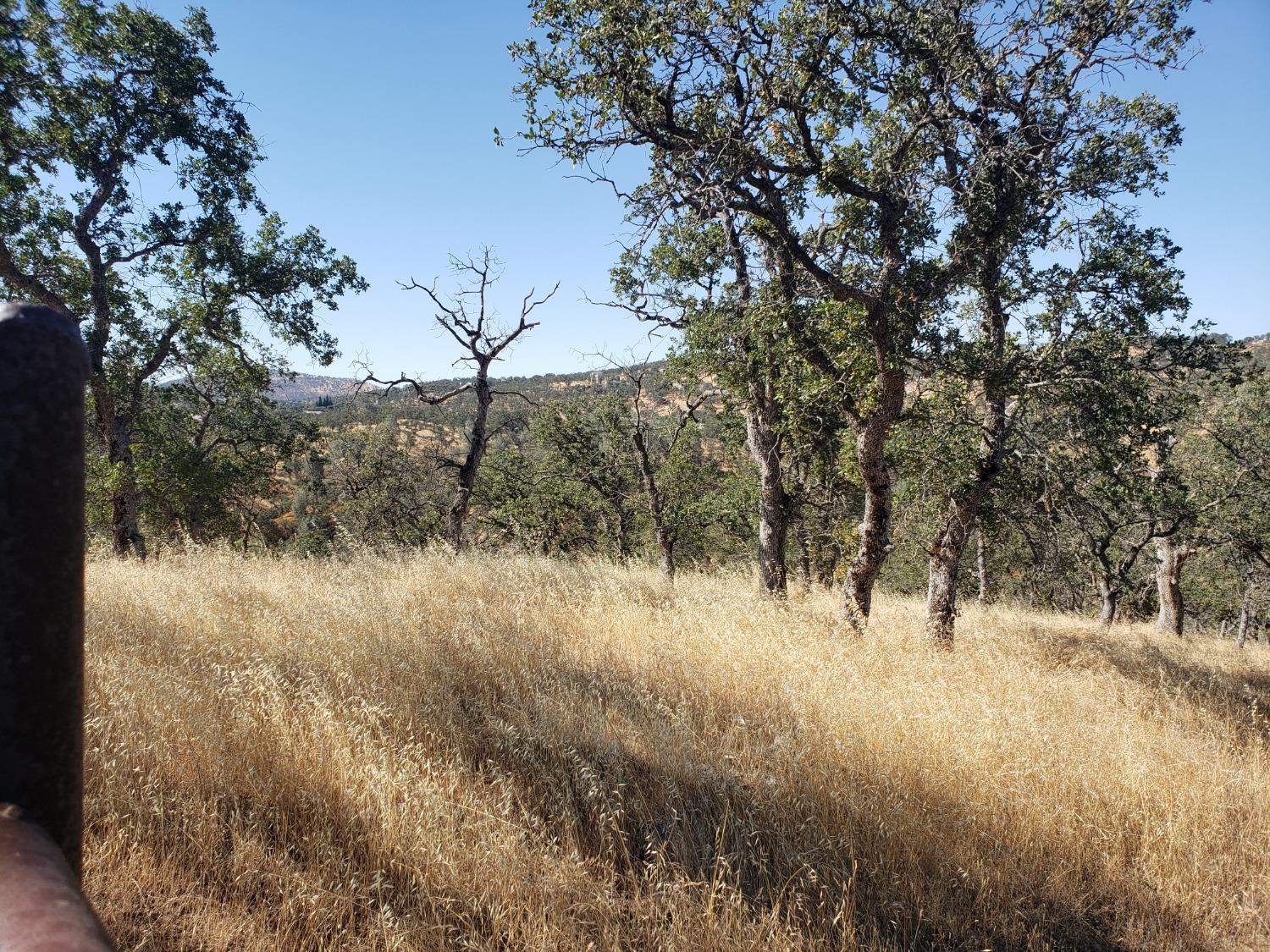 1400 Medina Ct, La Grange, CA 95329