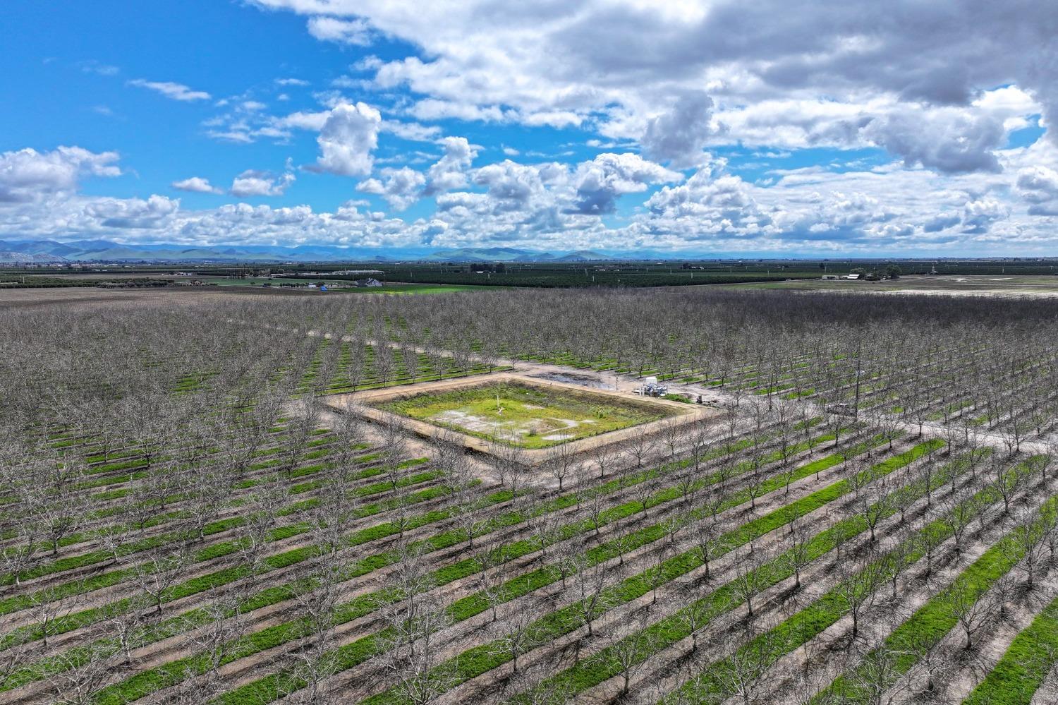 18995 Avenue 232, Lindsay, CA 93247