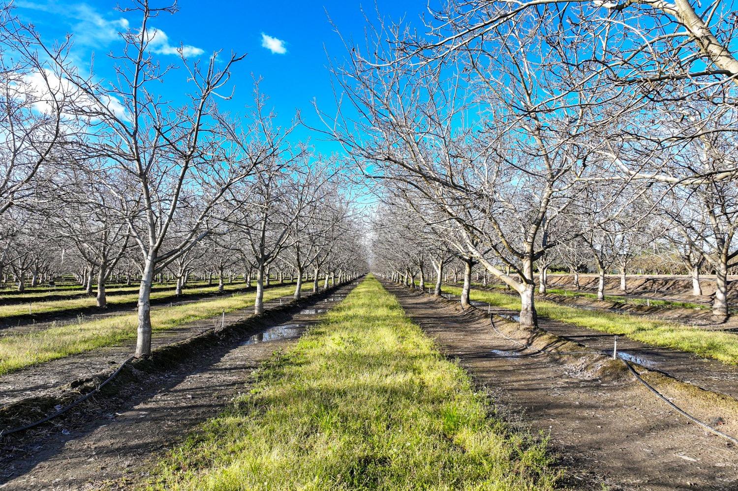 3012 N Oakmore St, Tulare, CA 93274