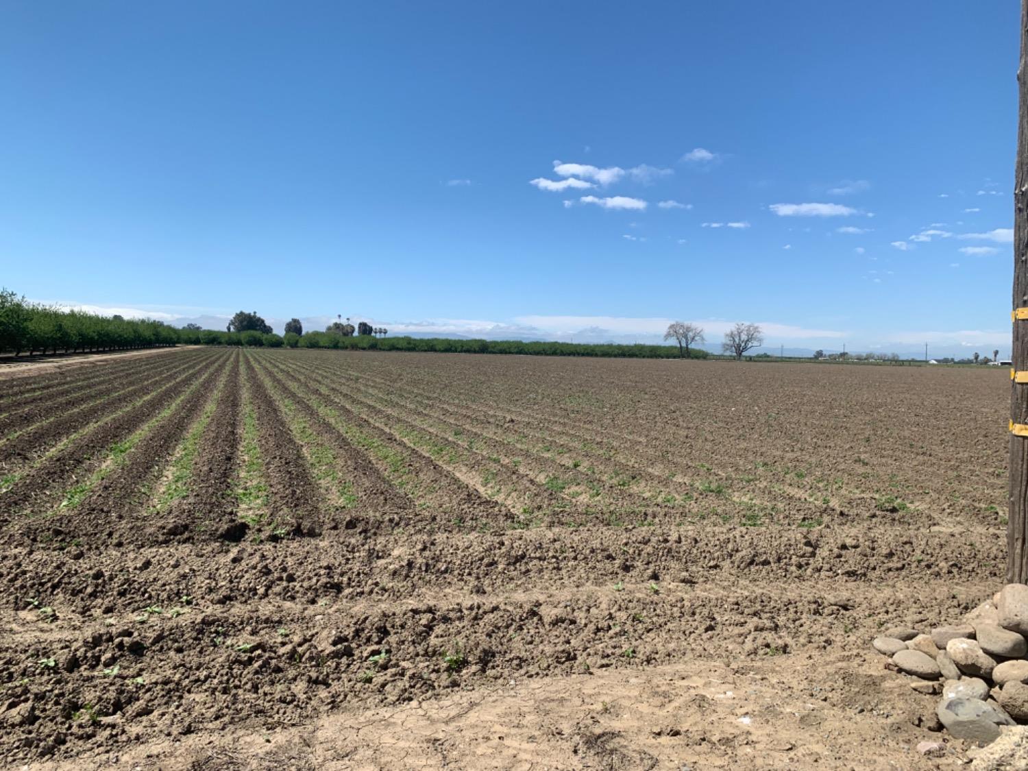 0 Santa Lucia Ave, Los Banos, CA 93635