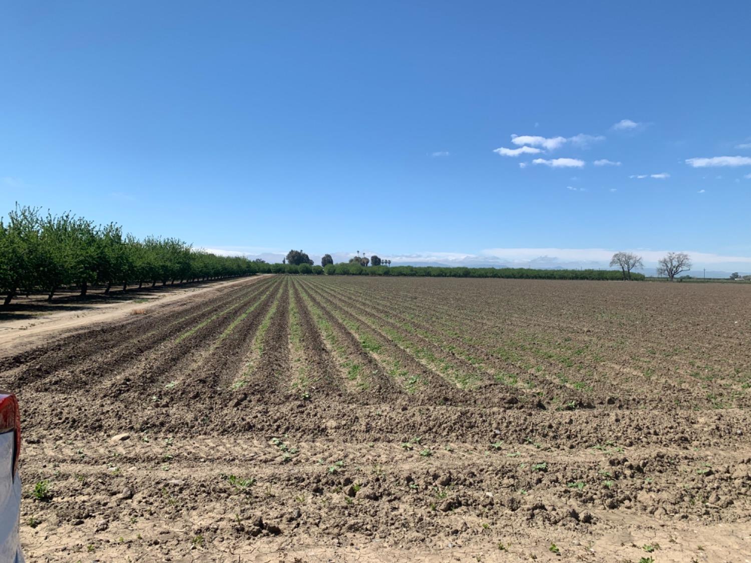 0 Santa Lucia Ave, Los Banos, CA 93635