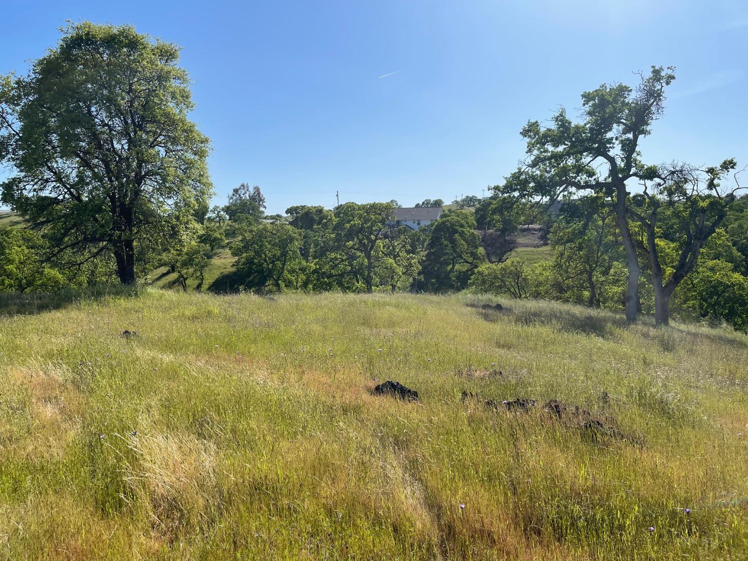 1746 Las Flores Ct, La Grange, CA 95329