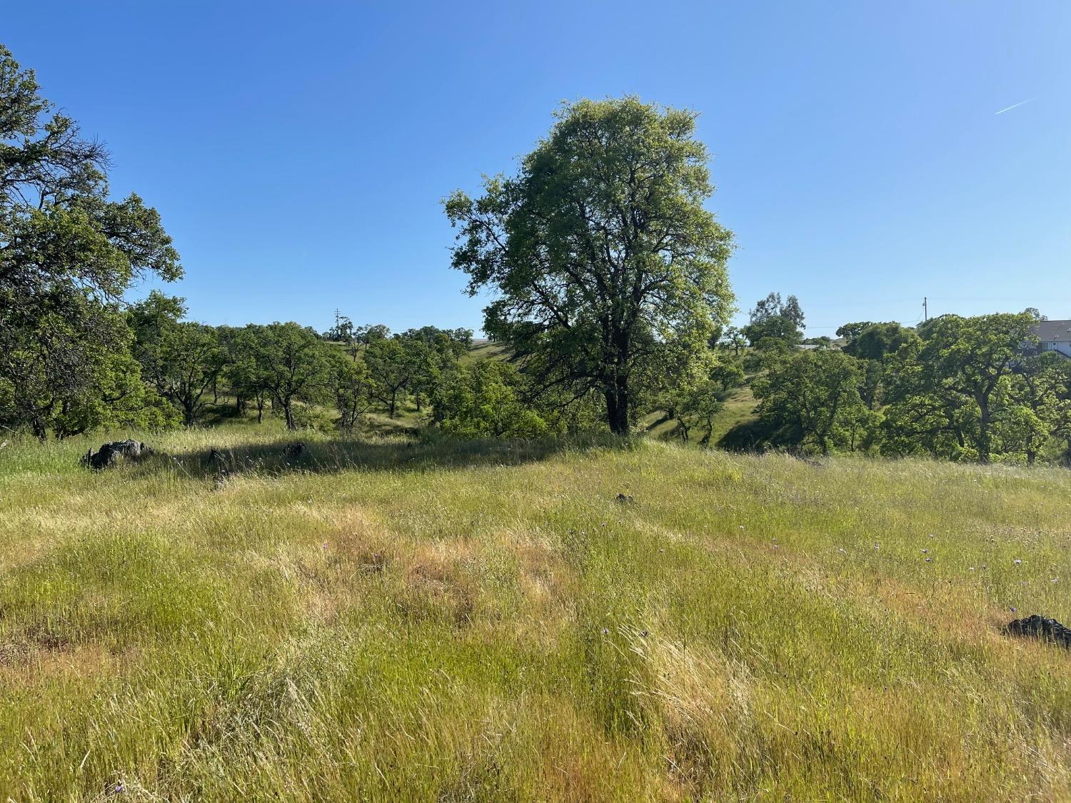 1746 Las Flores Ct, La Grange, CA 95329