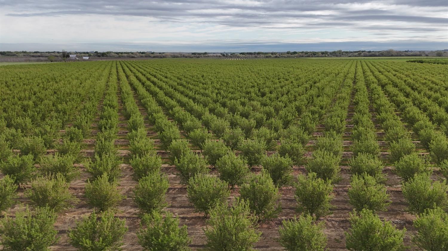 12742 Elm Ave, Patterson, CA 95363