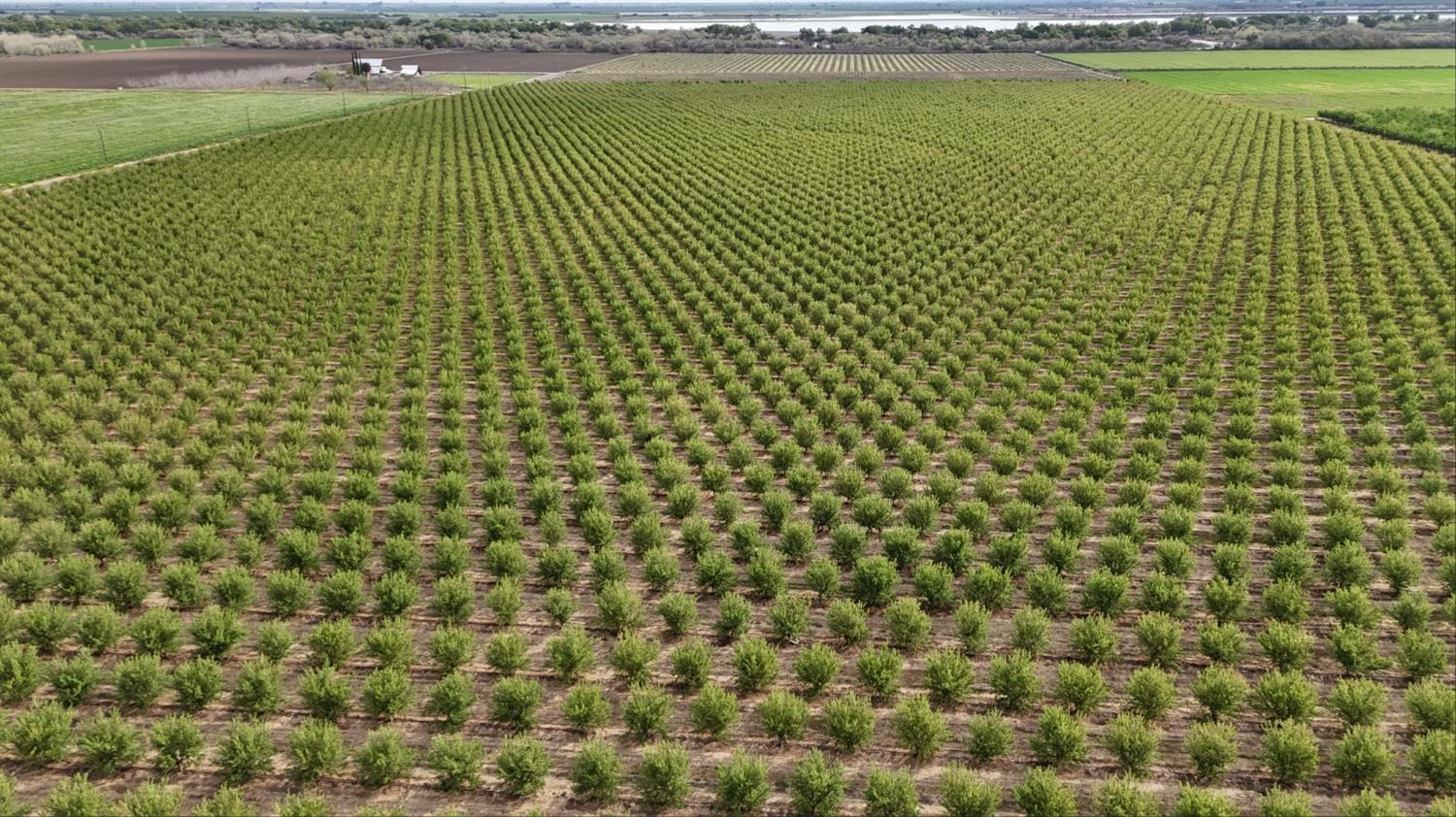 12742 Elm Ave, Patterson, CA 95363