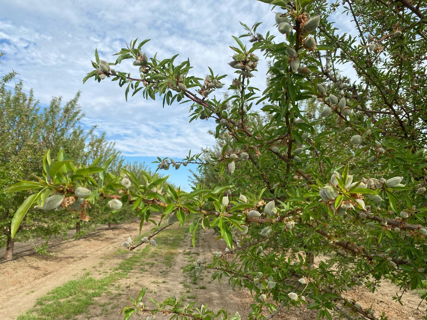 12742 Elm Ave, Patterson, CA 95363