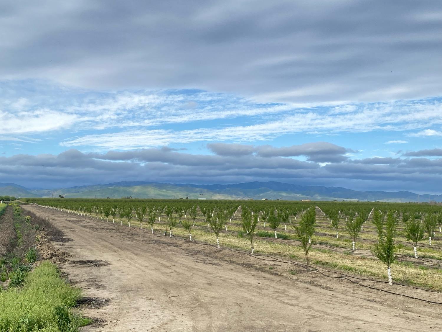 12742 Elm Ave, Patterson, CA 95363