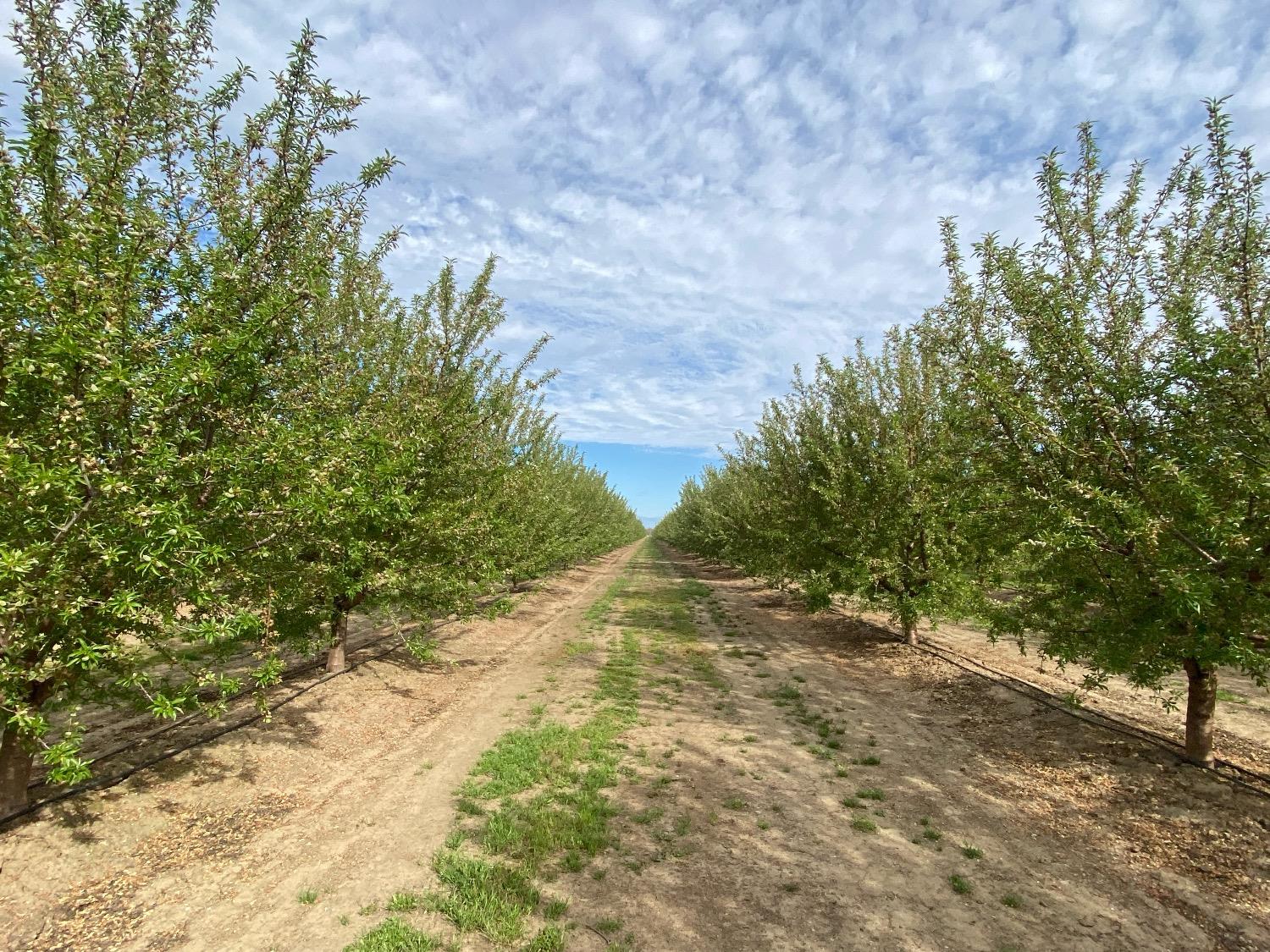 12742 Elm Ave, Patterson, CA 95363