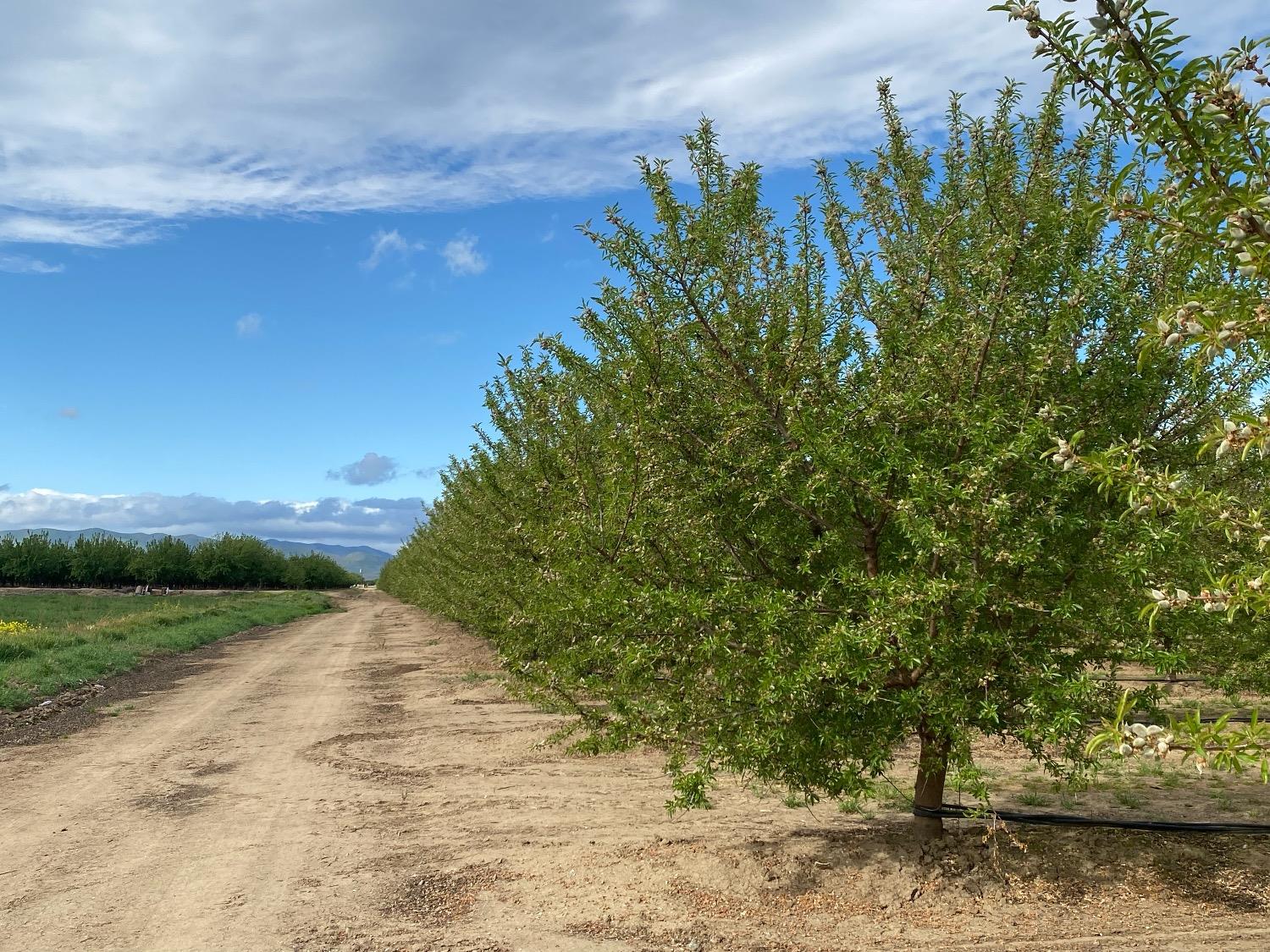 12742 Elm Ave, Patterson, CA 95363