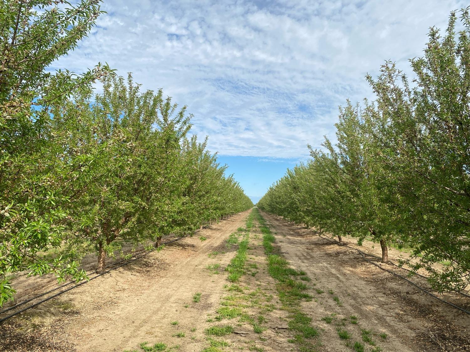 12742 Elm Ave, Patterson, CA 95363