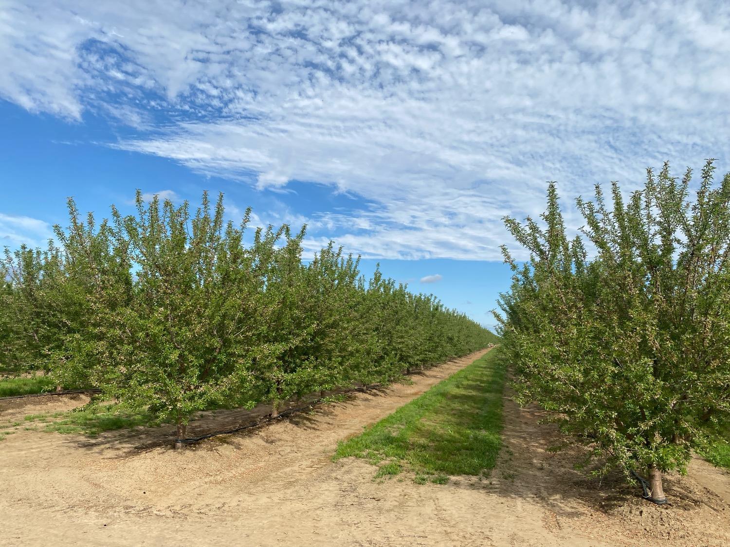 12742 Elm Ave, Patterson, CA 95363