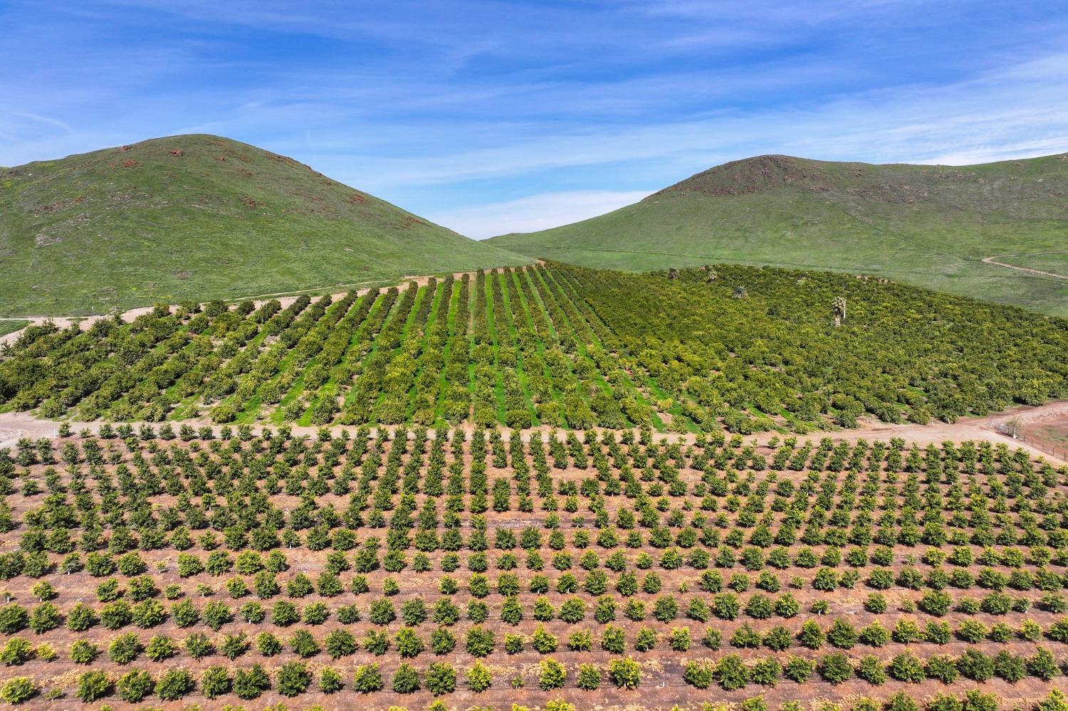 0 W Reid Ave, Porterville, CA 93257