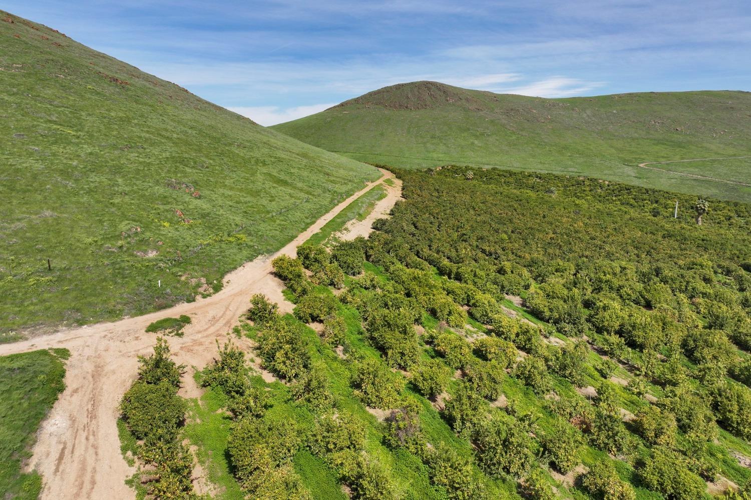 0 W Reid Ave, Porterville, CA 93257