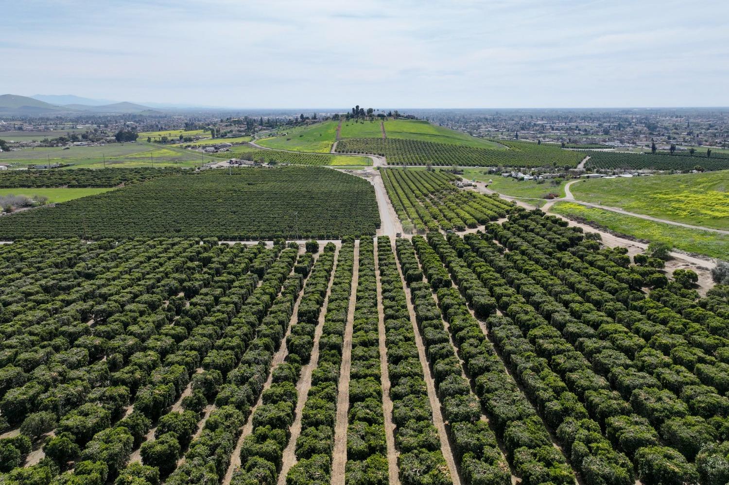 0 W Reid Ave, Porterville, CA 93257