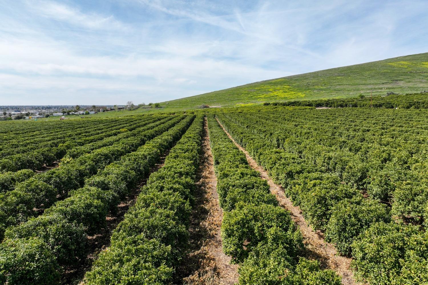 0 W Reid Ave, Porterville, CA 93257