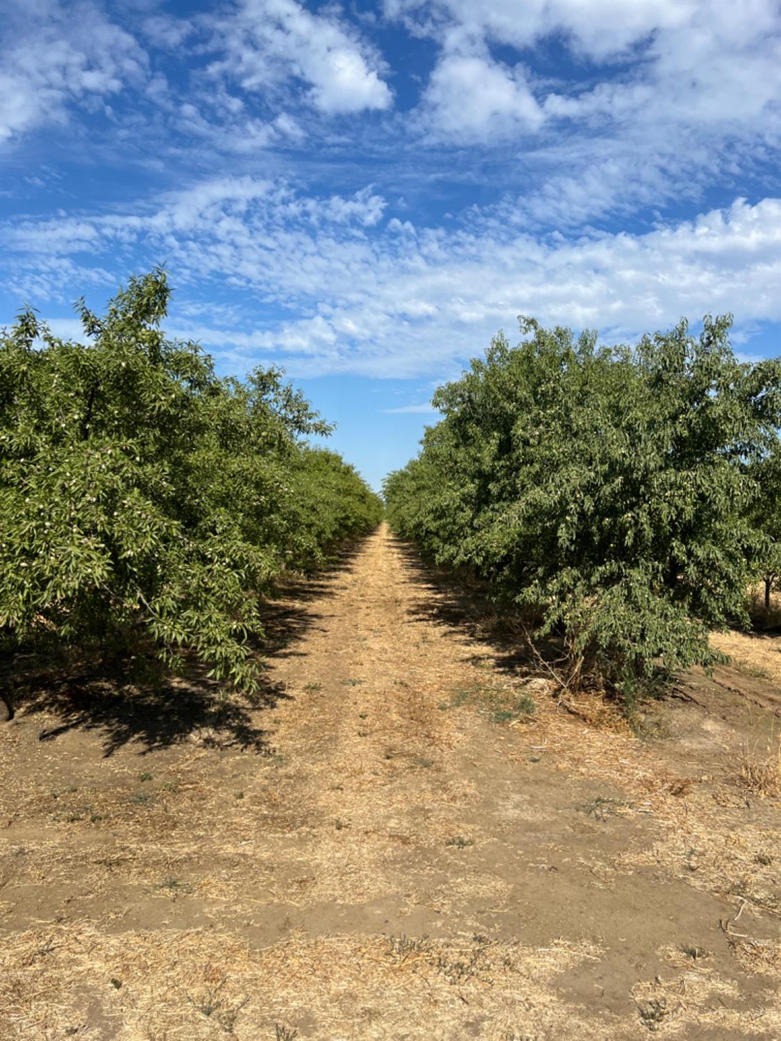 4261 Clausen Rd, Le Grand, CA 95333