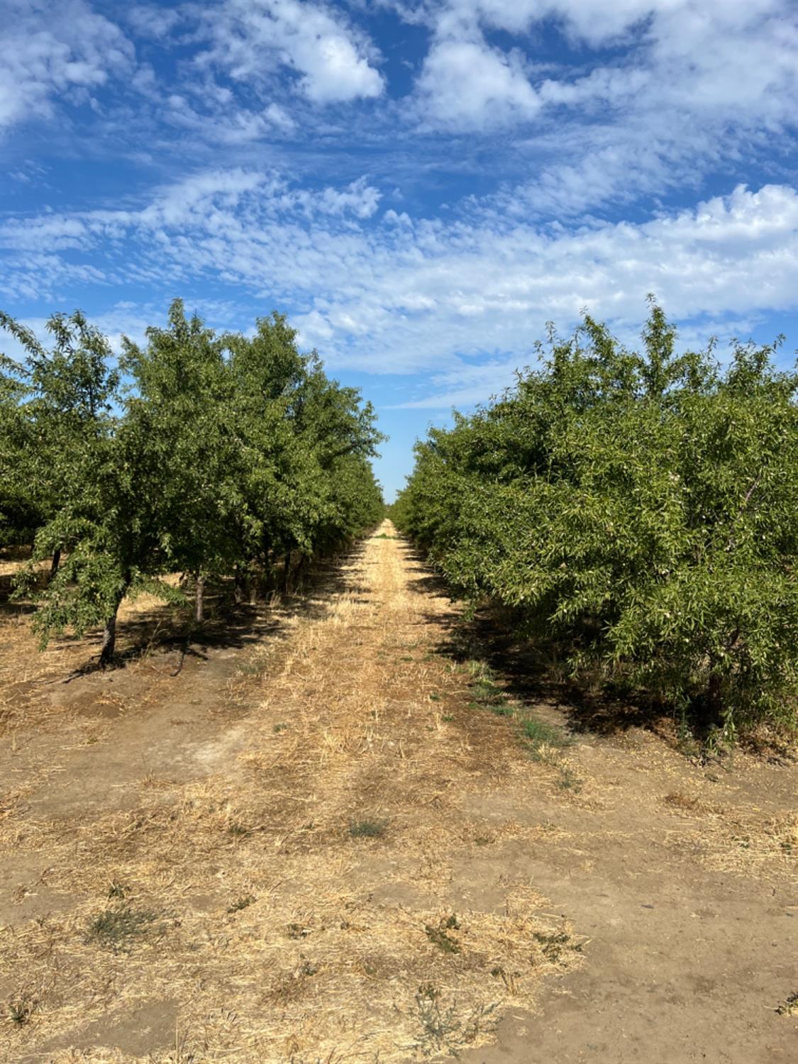 4261 Clausen Rd, Le Grand, CA 95333