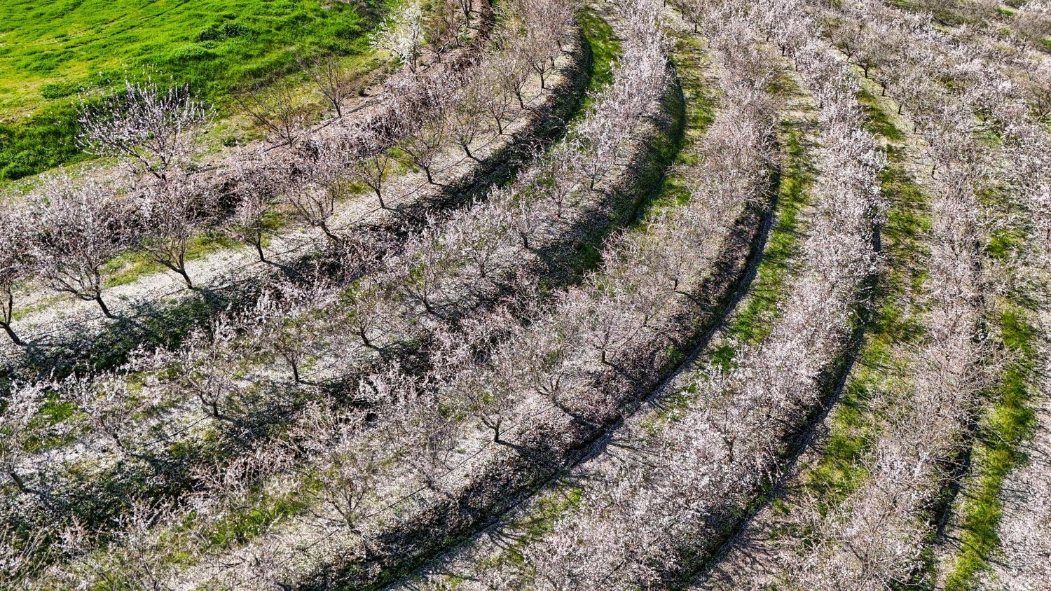 10031 Frankenheimer Rd, Oakdale, CA 95361