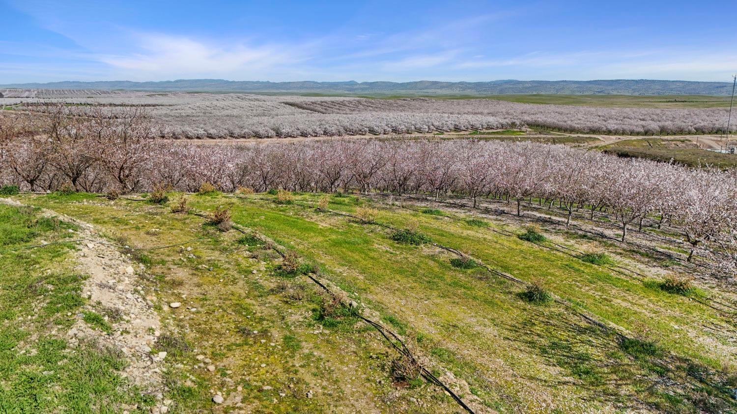 10031 Frankenheimer Rd, Oakdale, CA 95361