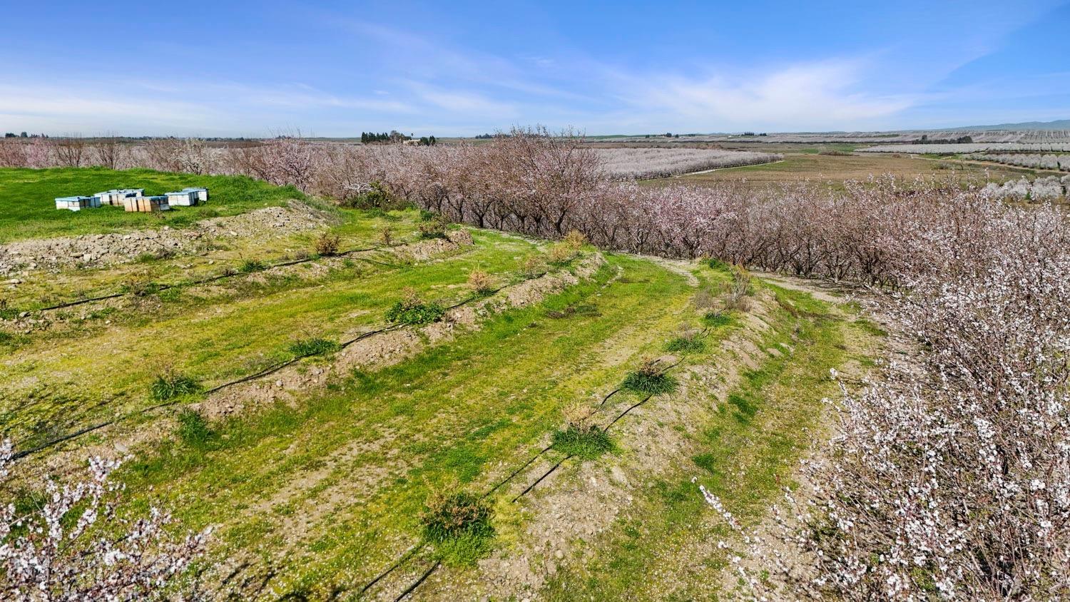 10031 Frankenheimer Rd, Oakdale, CA 95361