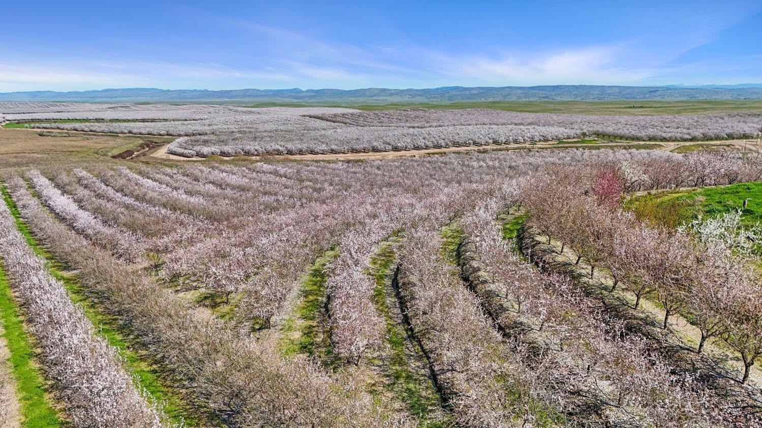 10031 Frankenheimer Rd, Oakdale, CA 95361