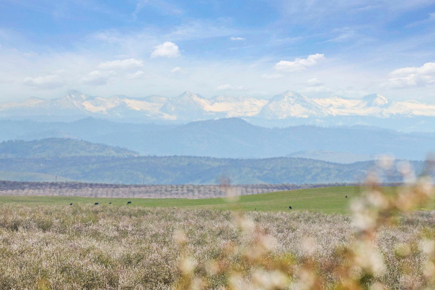 10031 Frankenheimer Rd, Oakdale, CA 95361